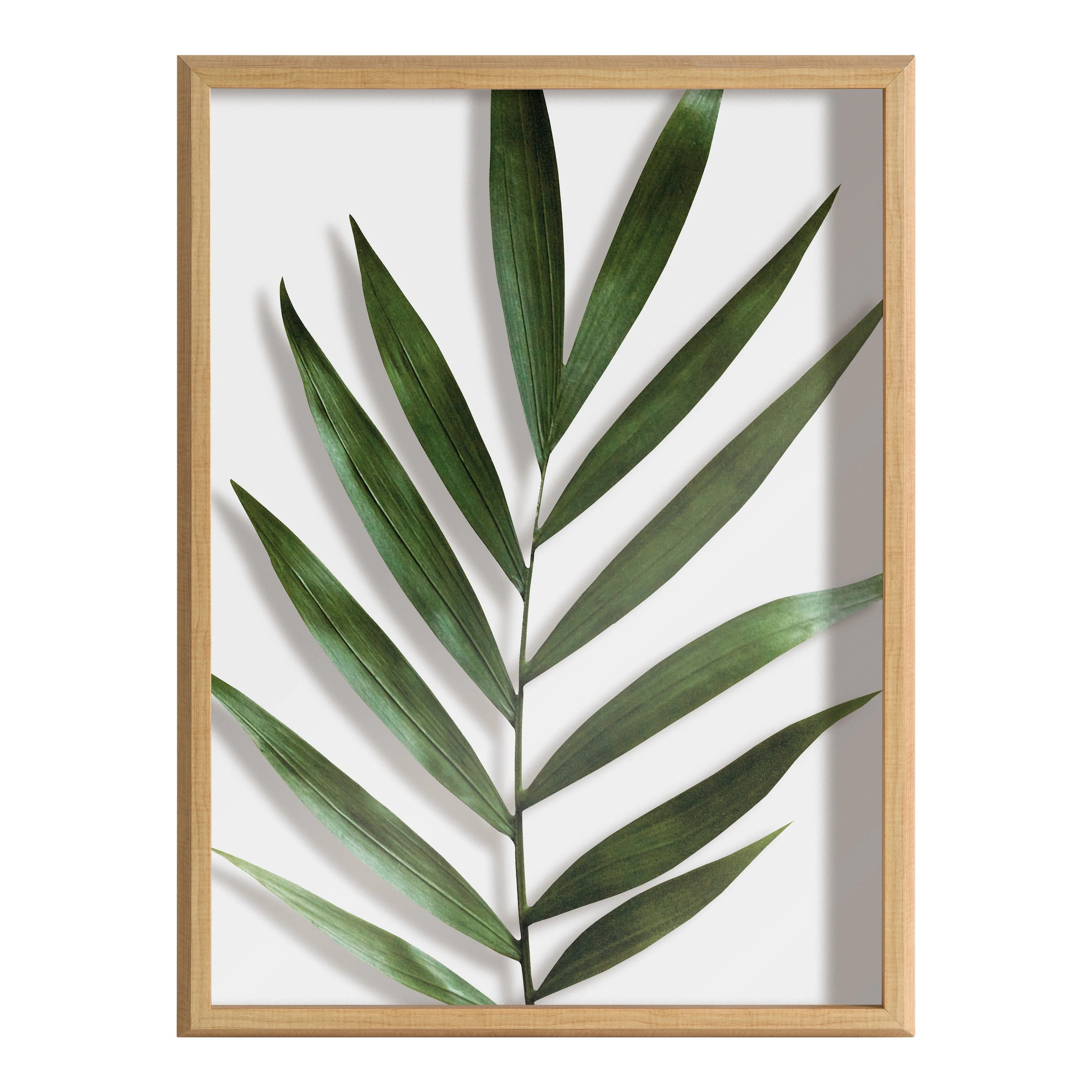 Blake Botanical 5F Framed Printed Glass by Amy Peterson - Image 14