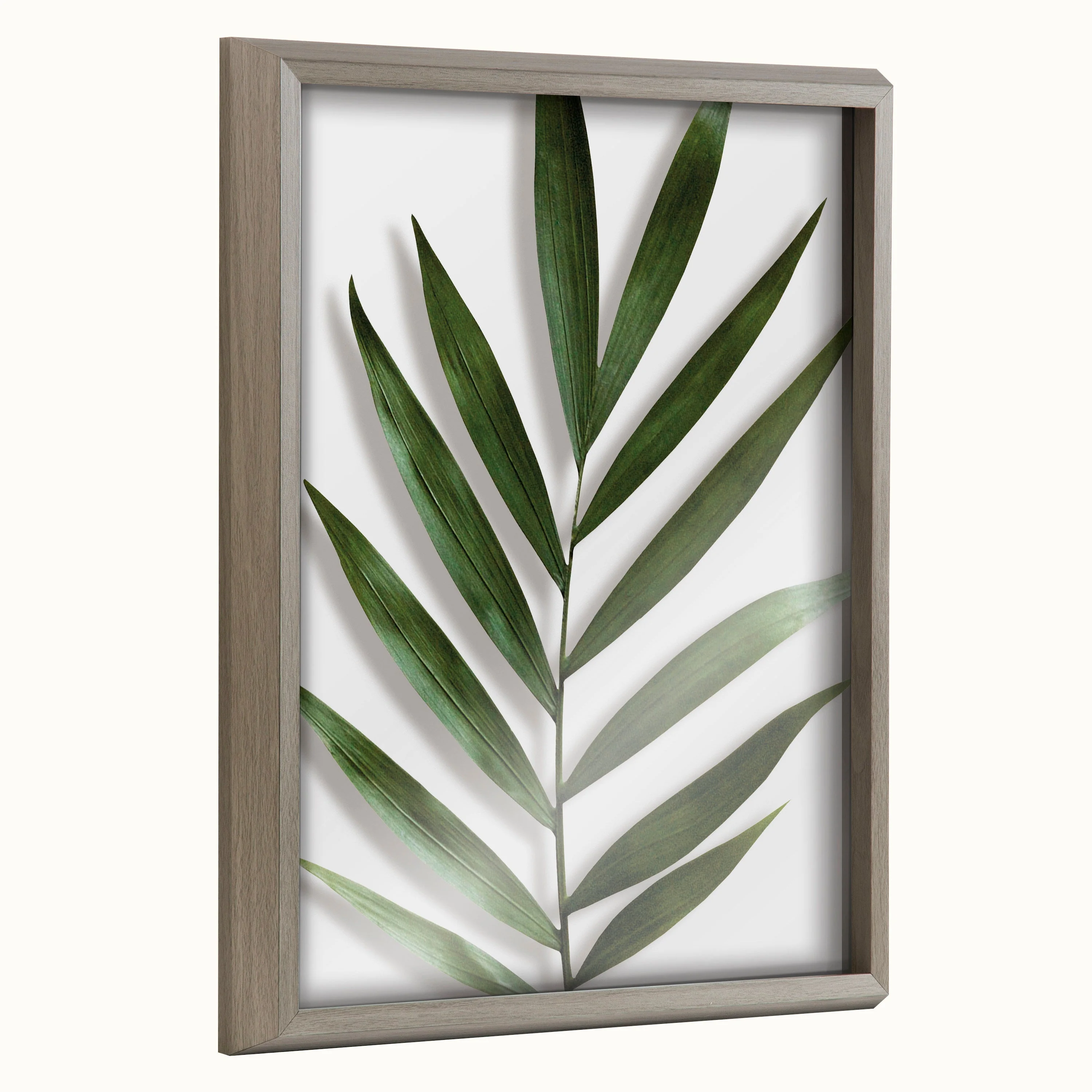 Blake Botanical 5F Framed Printed Glass by Amy Peterson - Image 19
