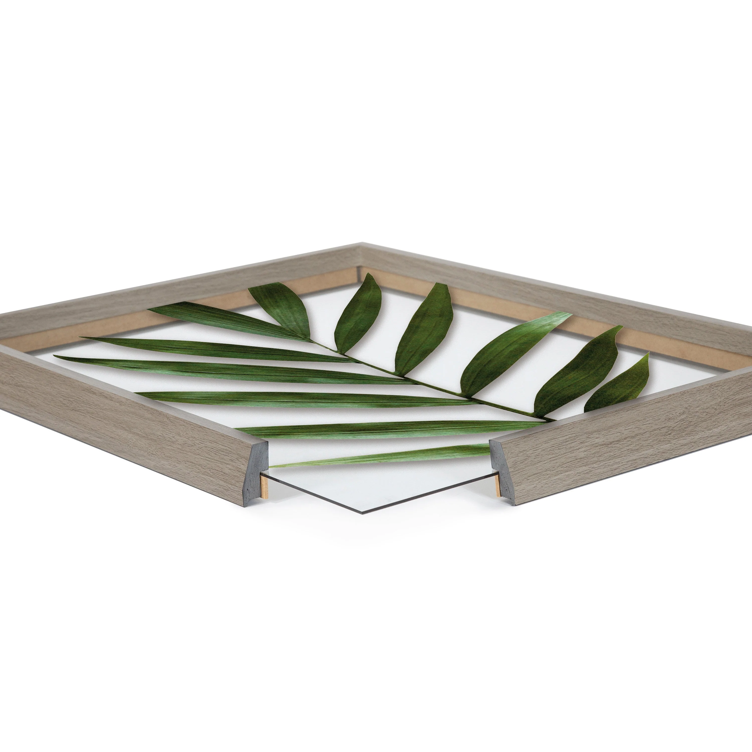 Blake Botanical 5F Framed Printed Glass by Amy Peterson - Image 21
