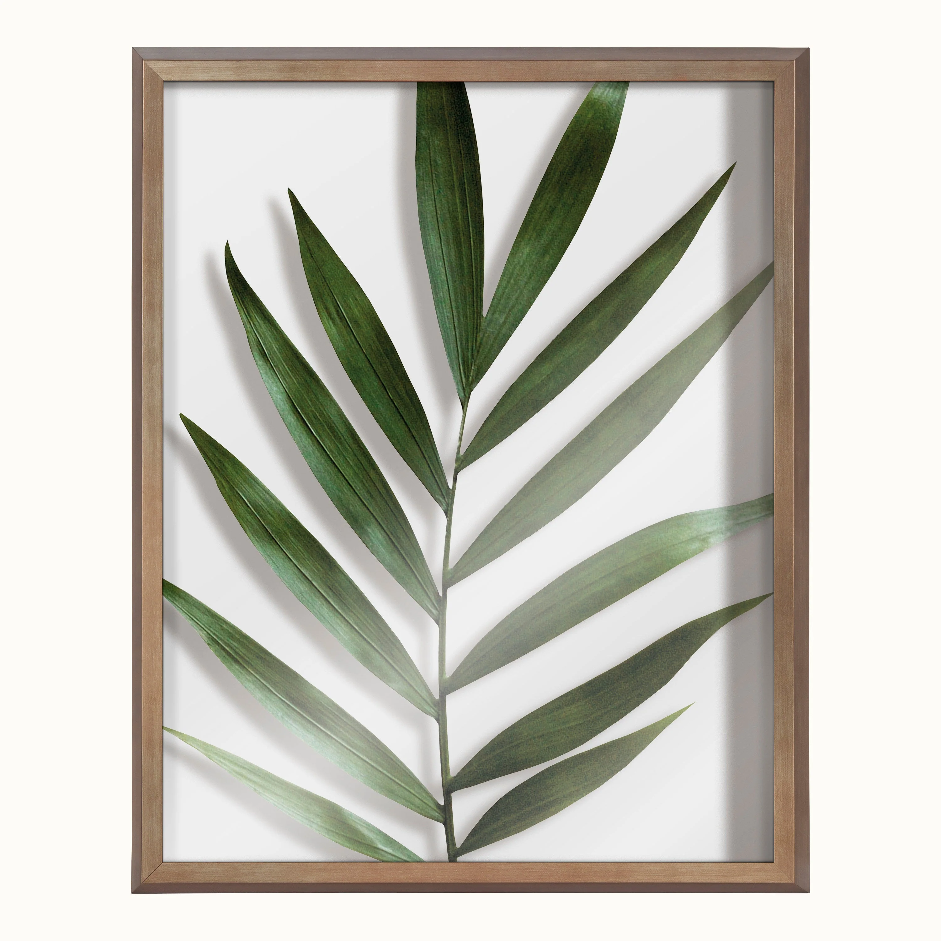 Blake Botanical 5F Framed Printed Glass by Amy Peterson - Image 26