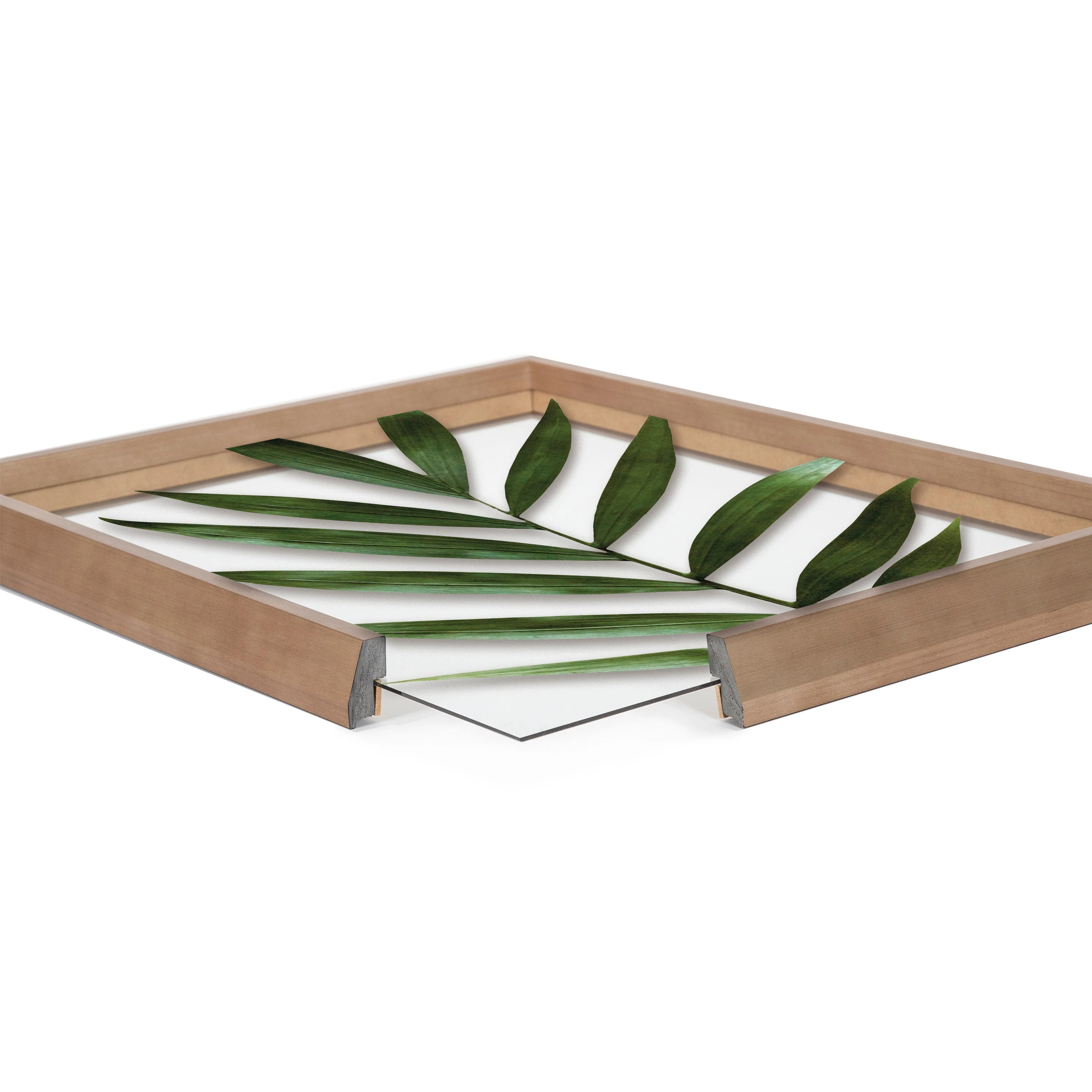 Blake Botanical 5F Framed Printed Glass by Amy Peterson - Image 3