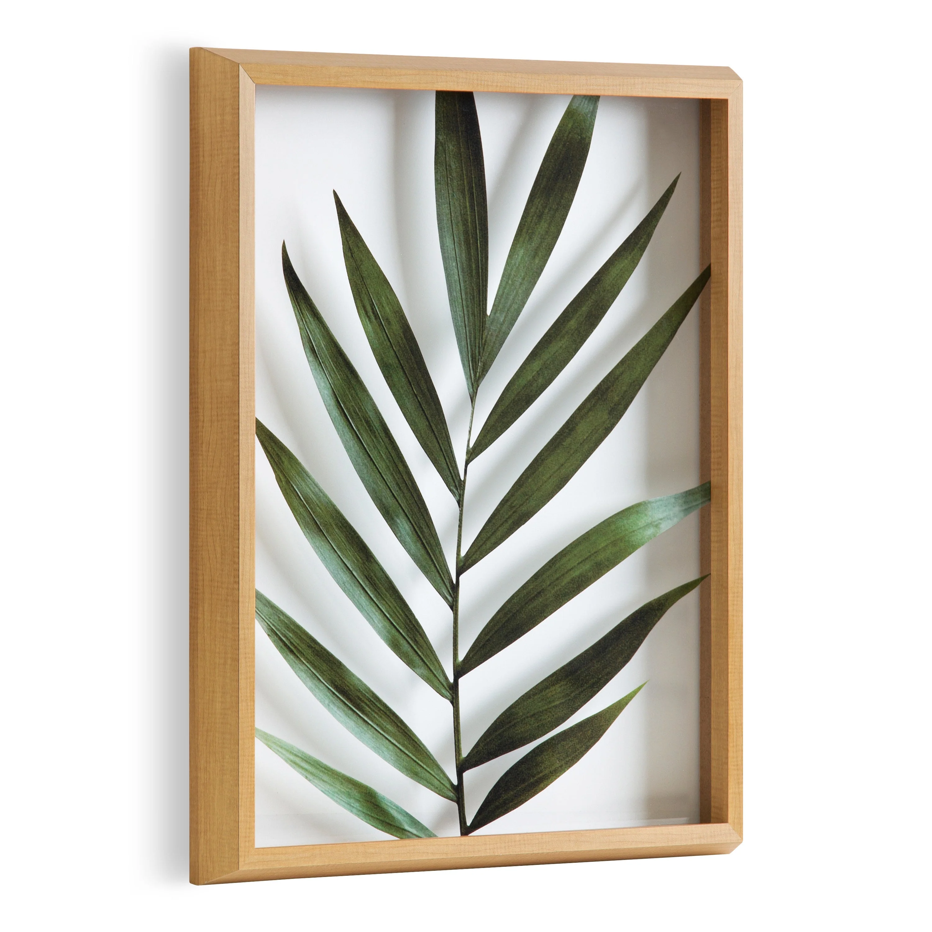 Blake Botanical 5F Framed Printed Glass by Amy Peterson - Image 31
