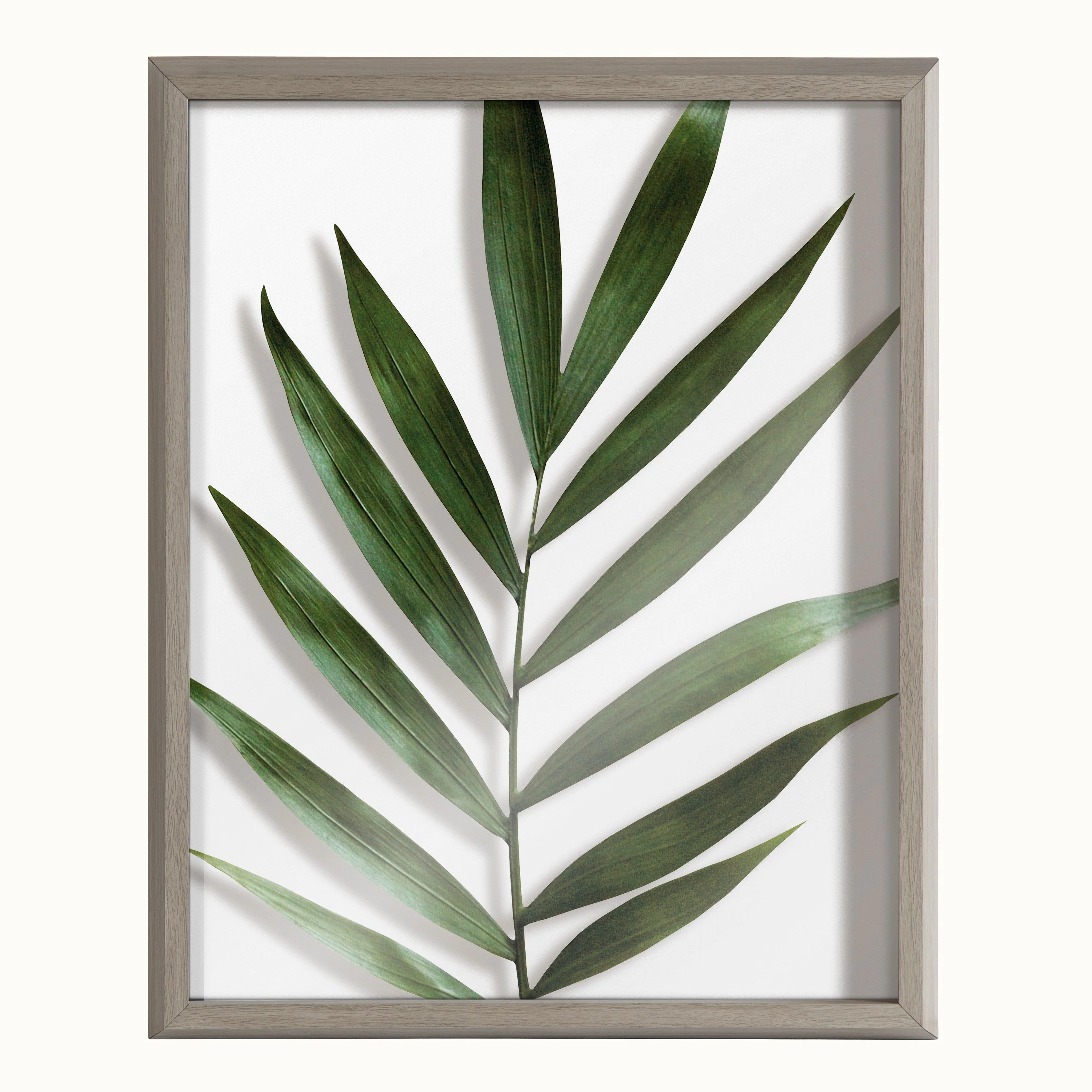 Blake Botanical 5F Framed Printed Glass by Amy Peterson - Image 39