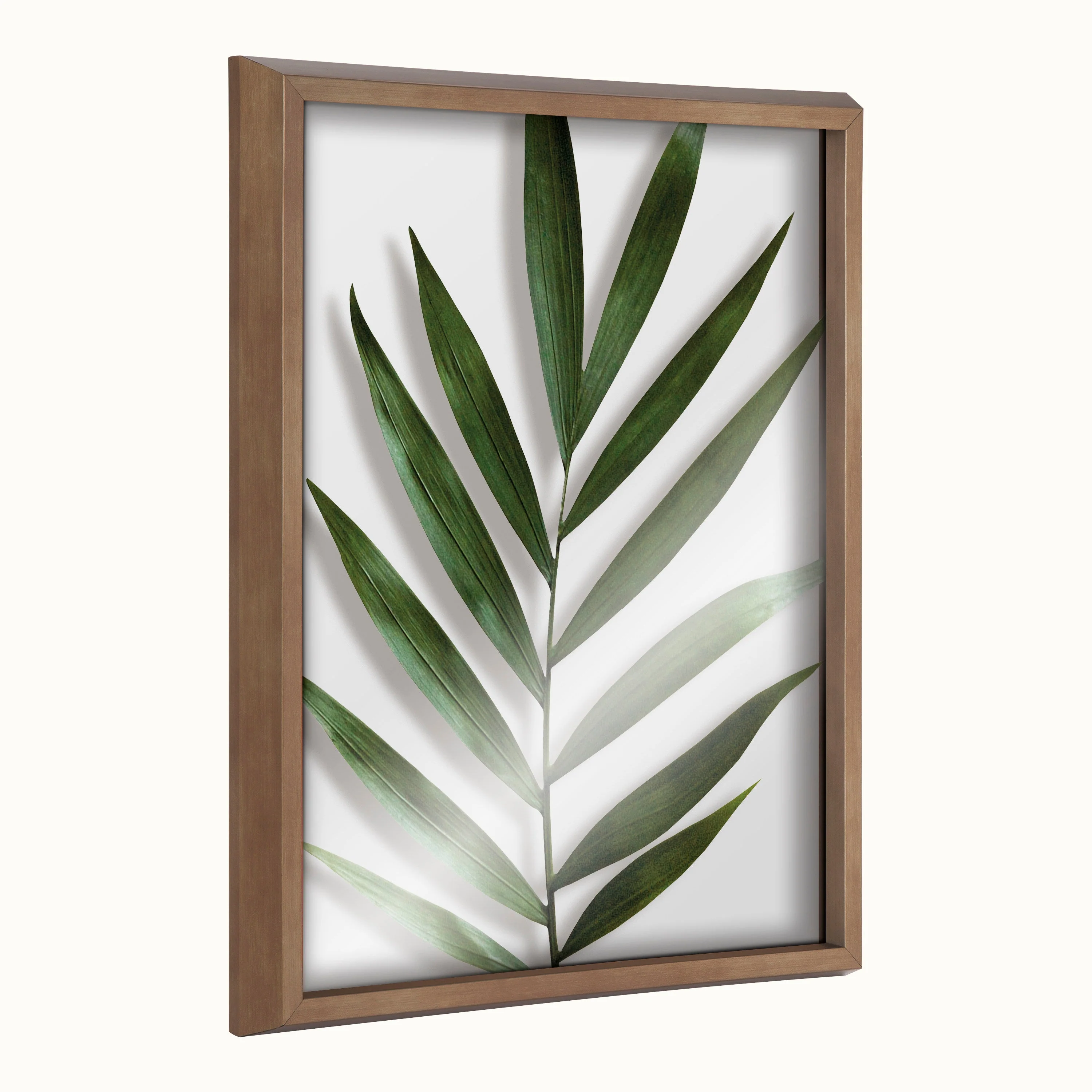 Blake Botanical 5F Framed Printed Glass by Amy Peterson - Image 42