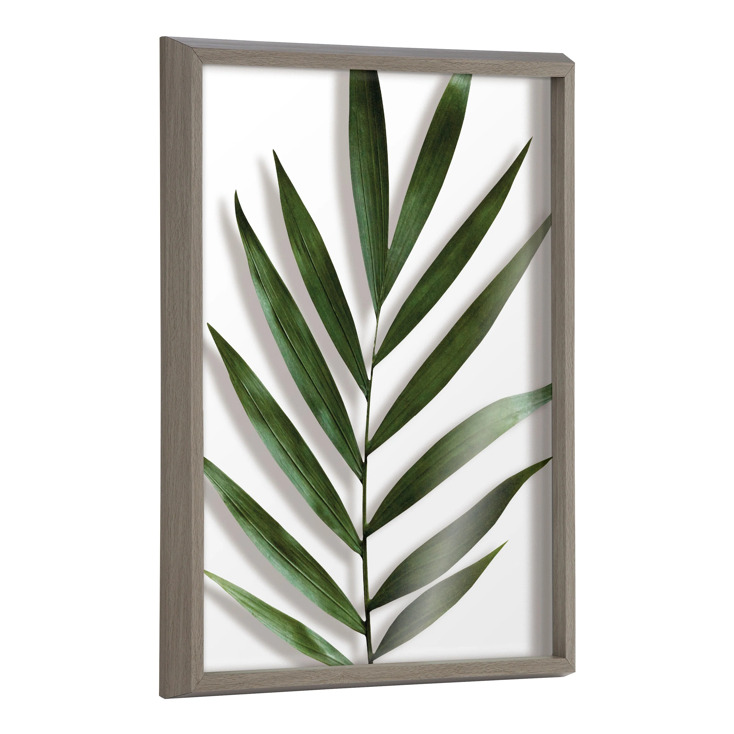 Blake Botanical 5F Framed Printed Glass by Amy Peterson - Image 44