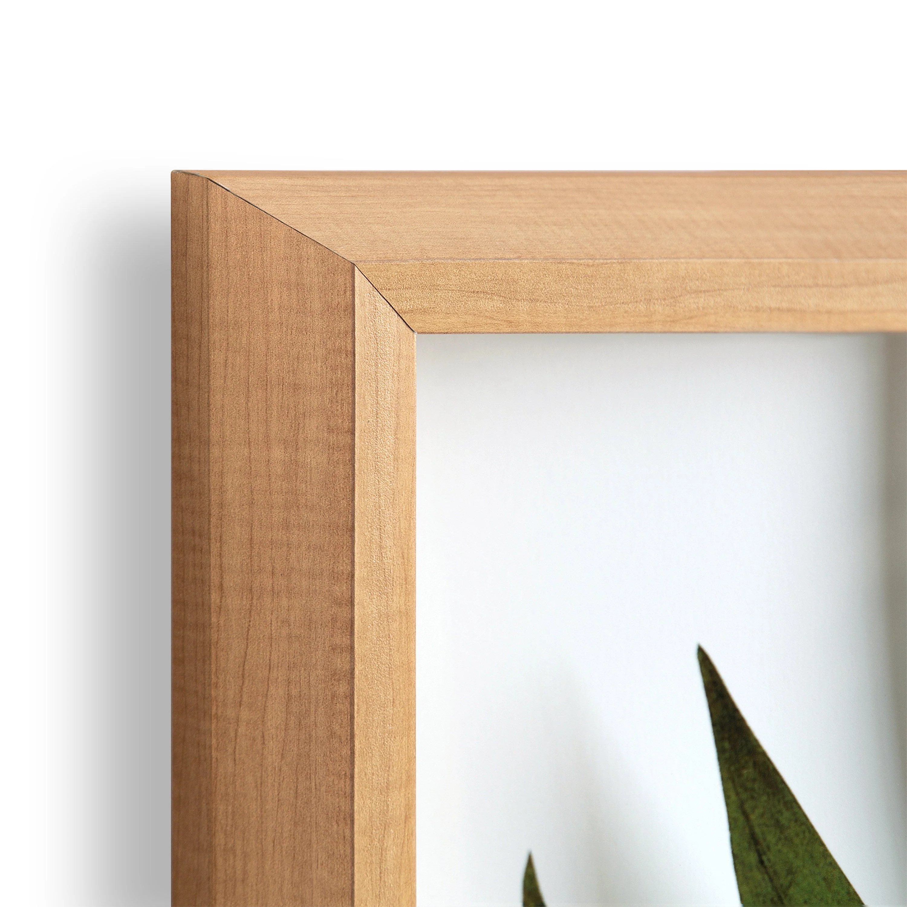 Blake Botanical 5F Framed Printed Glass by Amy Peterson - Image 47