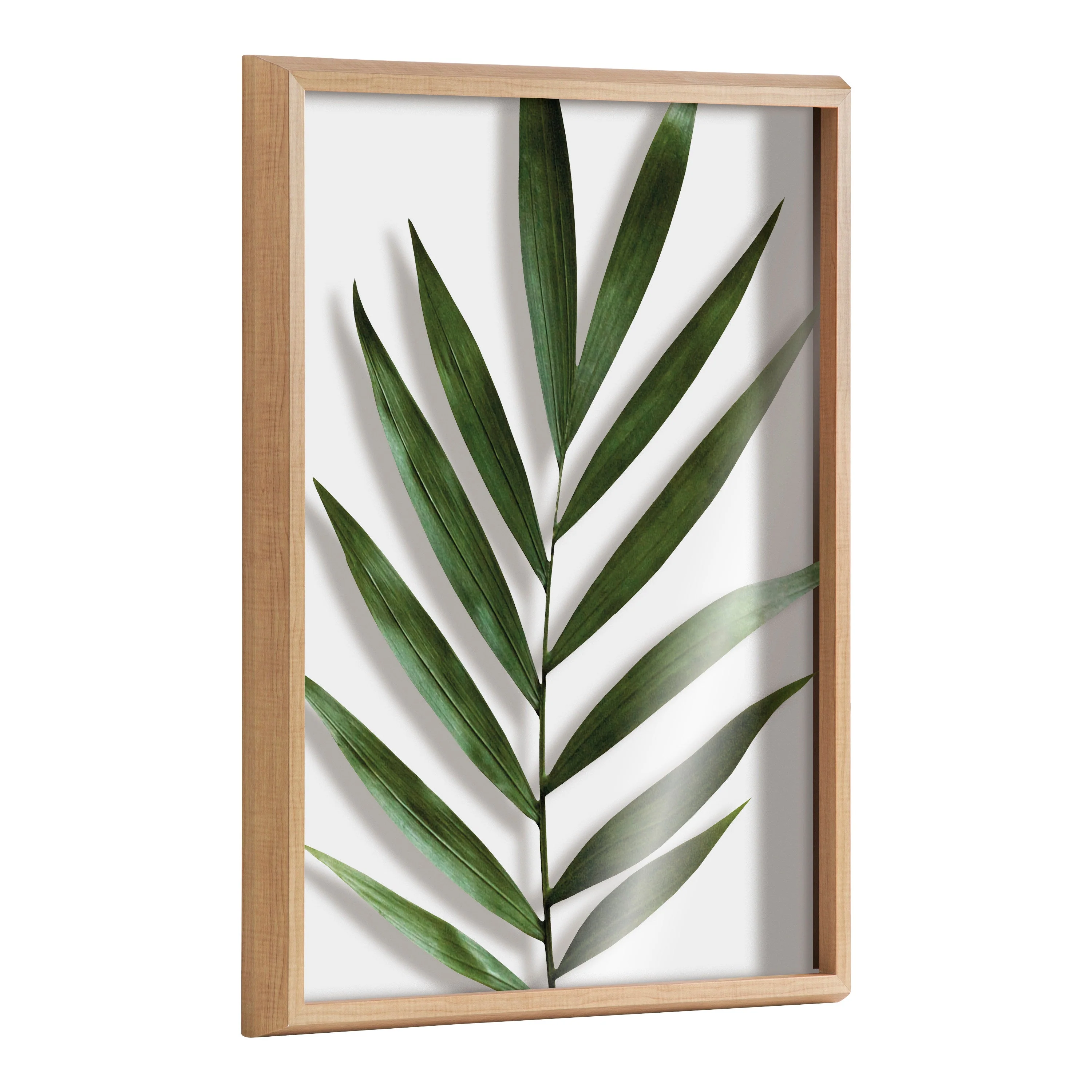 Blake Botanical 5F Framed Printed Glass by Amy Peterson - Image 49
