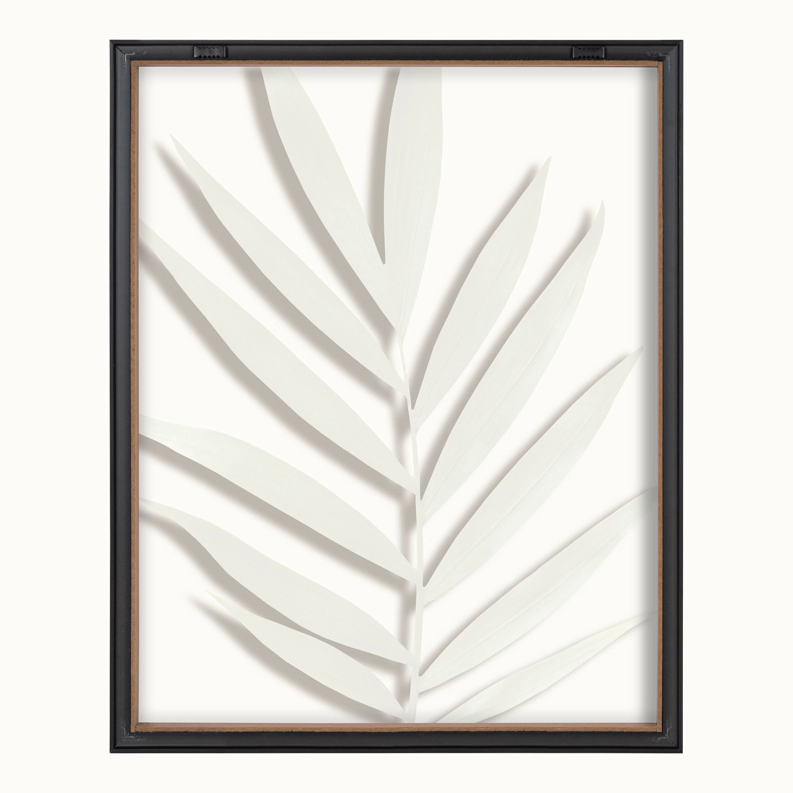 Blake Botanical 5F Framed Printed Glass by Amy Peterson - Image 50