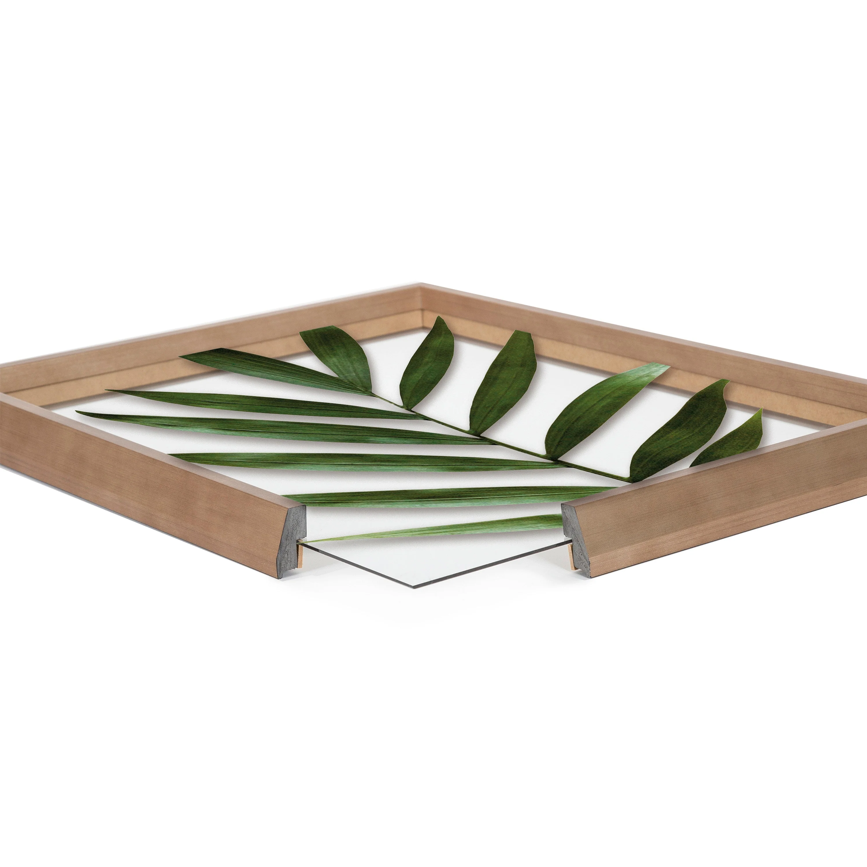 Blake Botanical 5F Framed Printed Glass by Amy Peterson - Image 51
