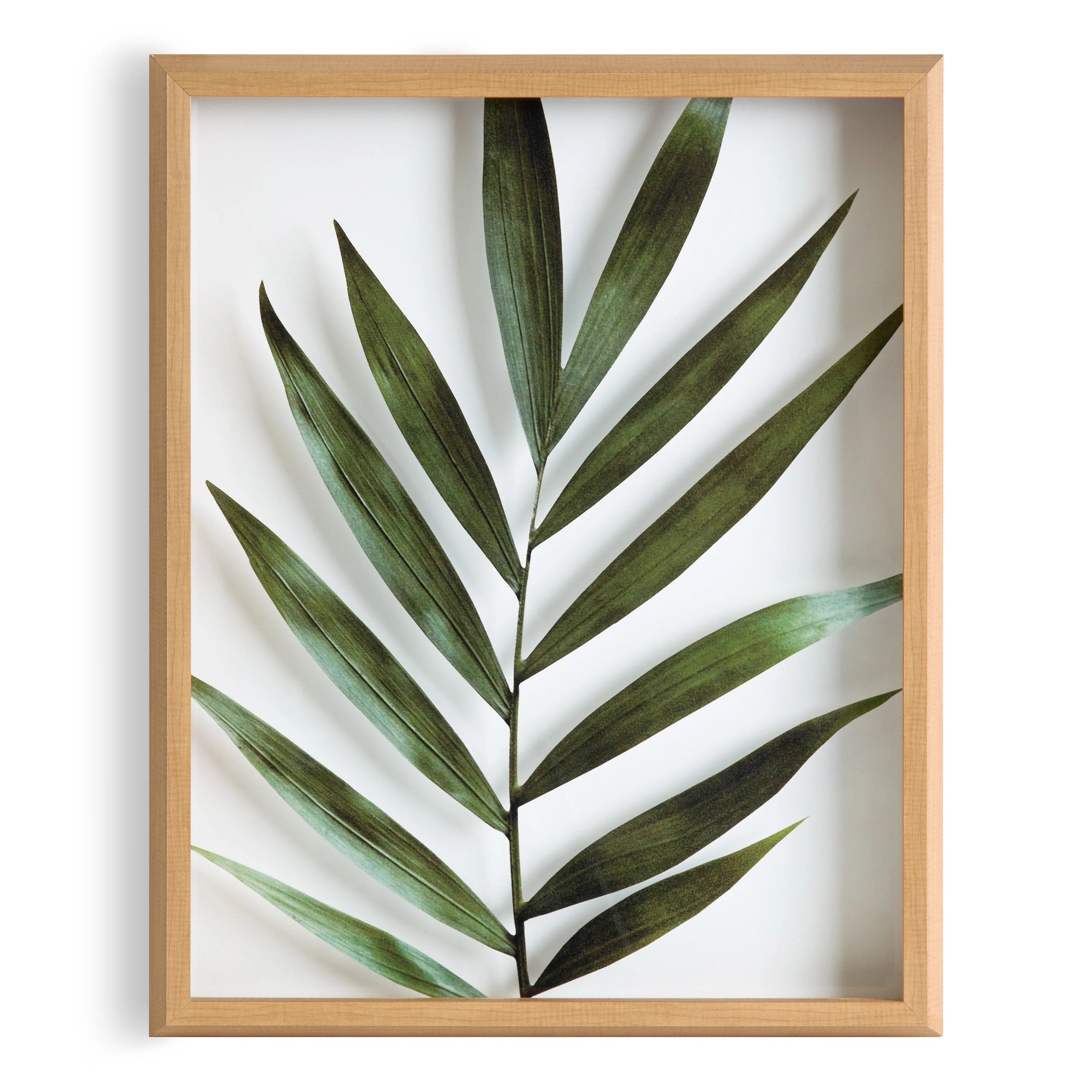 Blake Botanical 5F Framed Printed Glass by Amy Peterson - Image 55