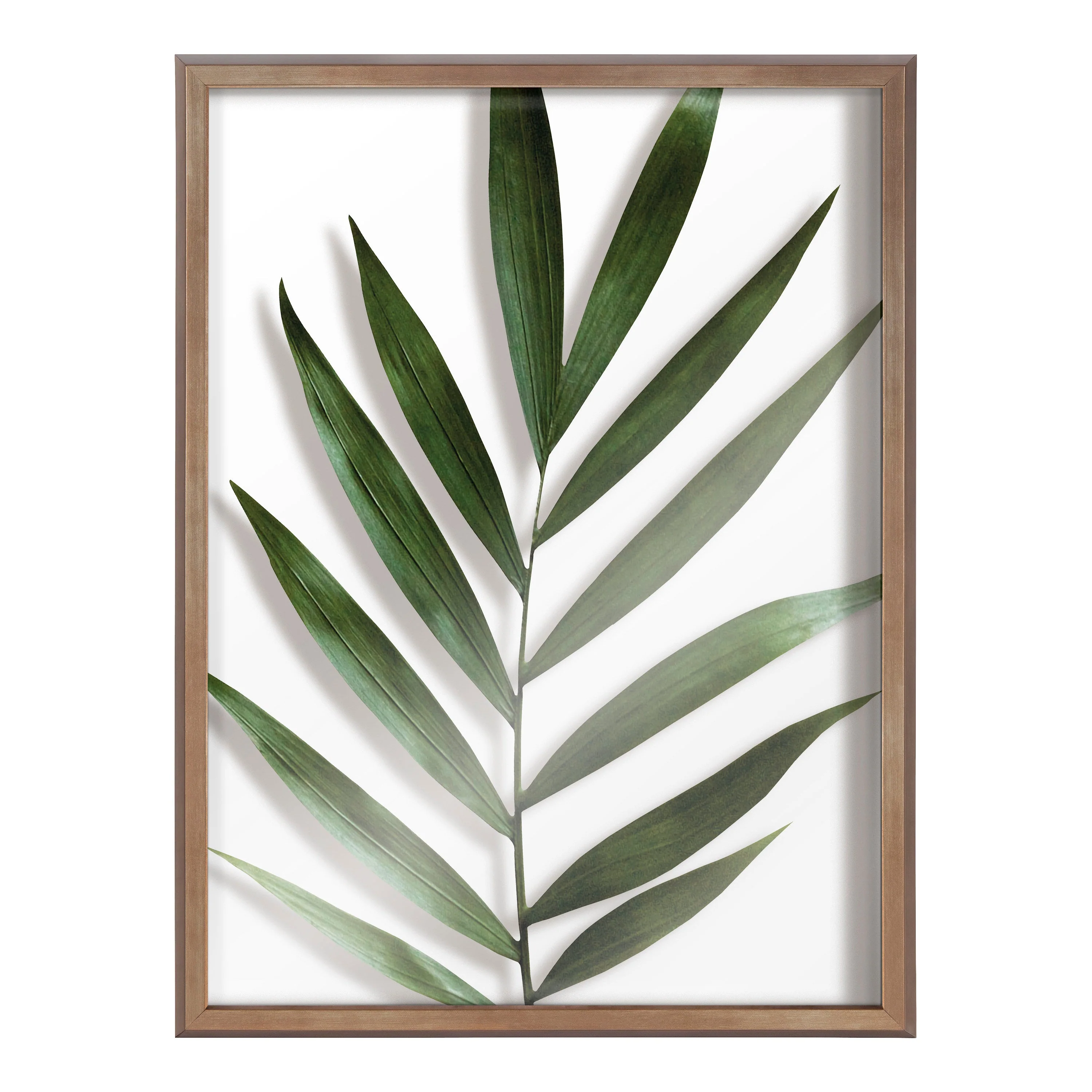 Blake Botanical 5F Framed Printed Glass by Amy Peterson - Image 59