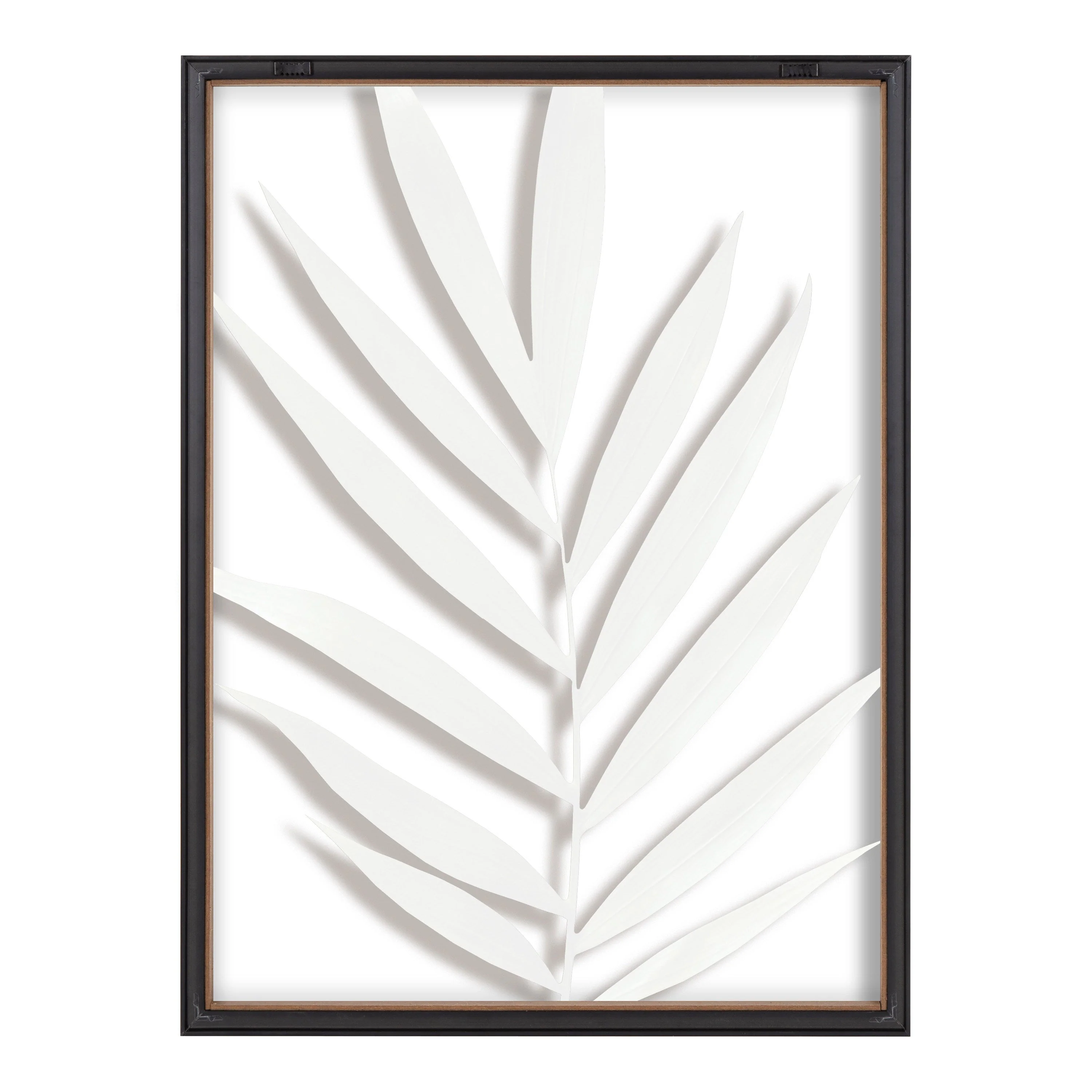 Blake Botanical 5F Framed Printed Glass by Amy Peterson - Image 6