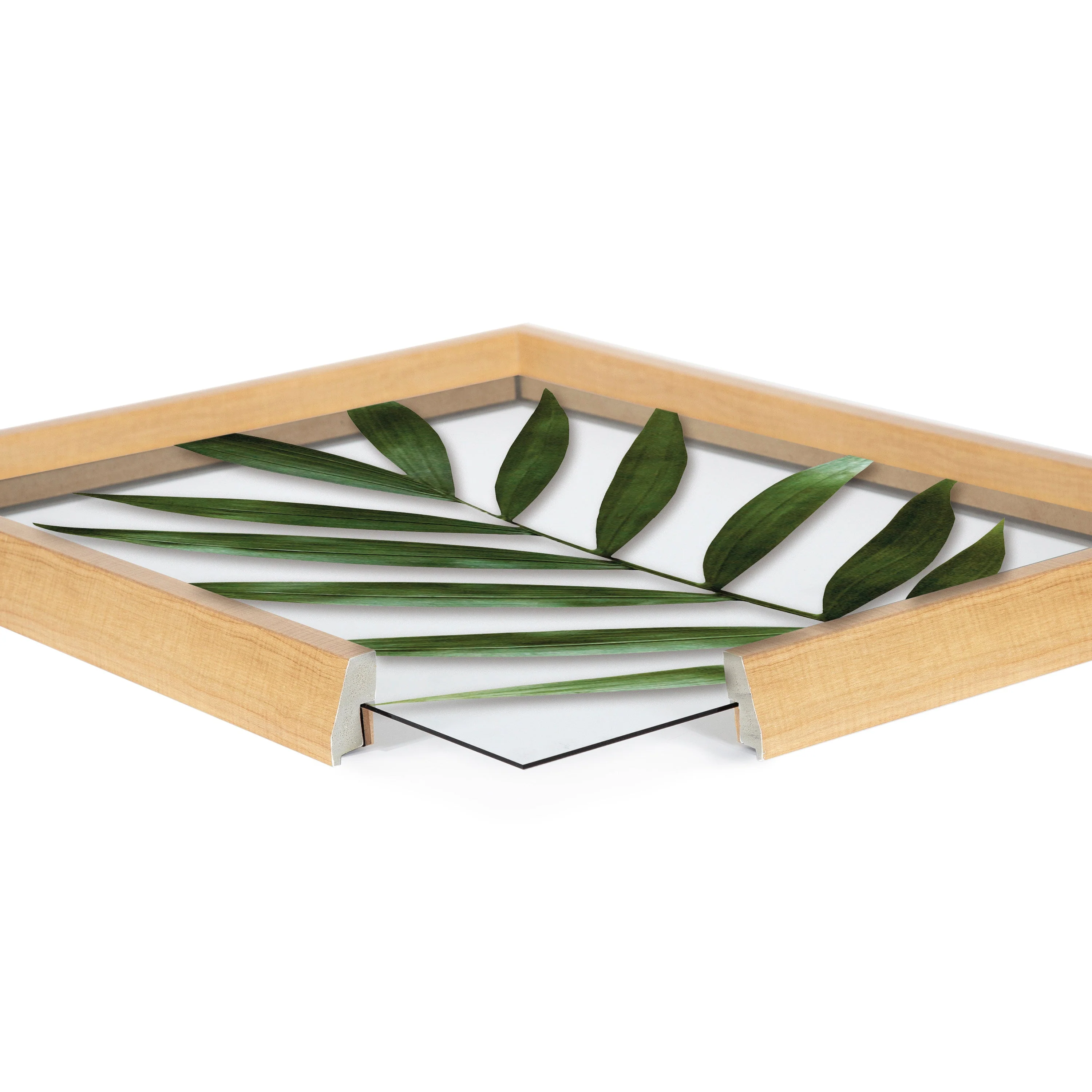 Blake Botanical 5F Framed Printed Glass by Amy Peterson - Image 67