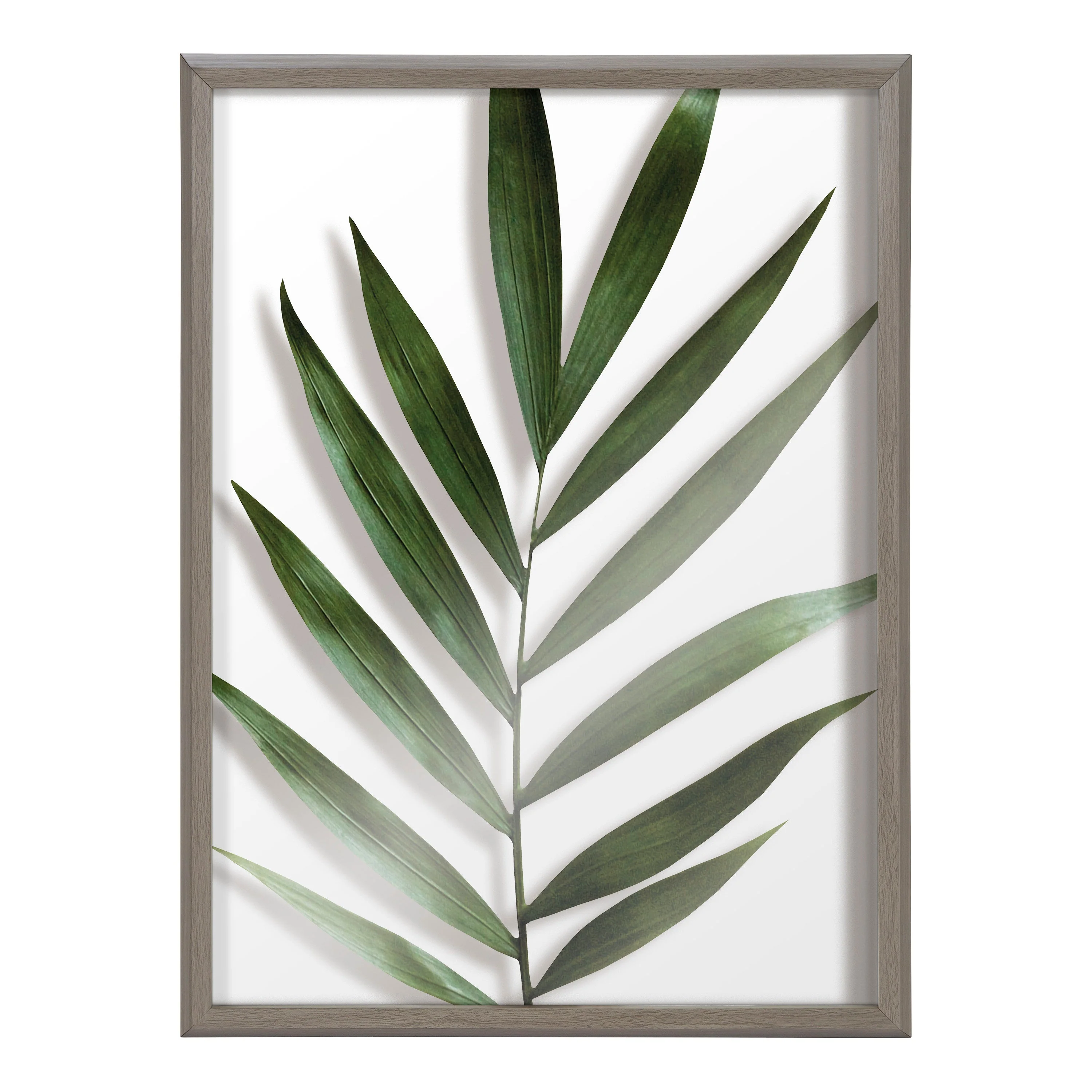 Blake Botanical 5F Framed Printed Glass by Amy Peterson - Image 8