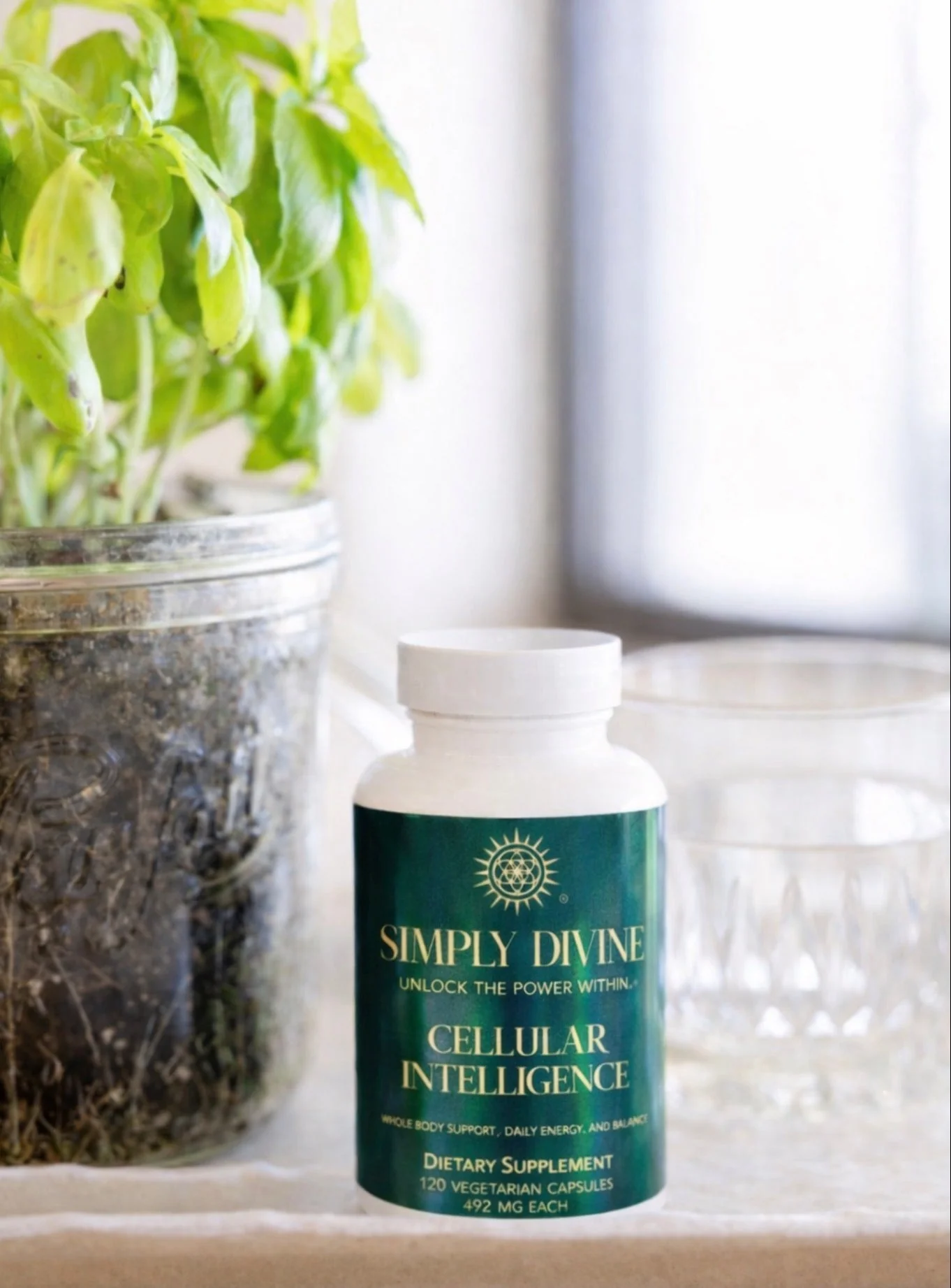 Cellular Intelligence Herbal Supplement - Whole Body Balance