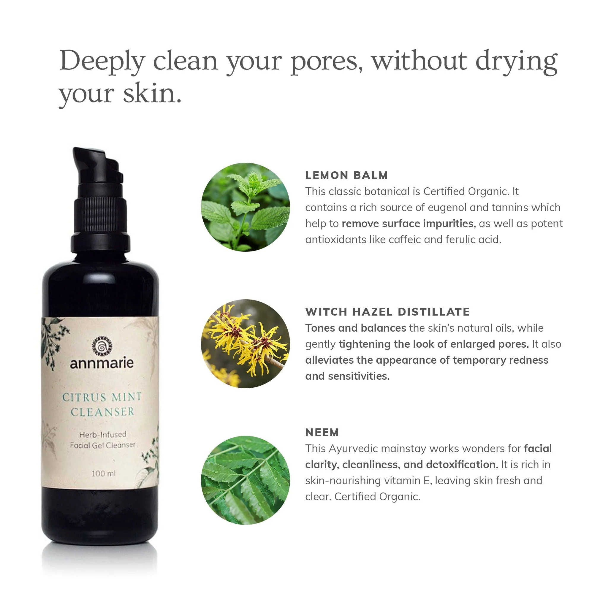 Citrus Mint Cleanser (100ml)- Collective - Image 2