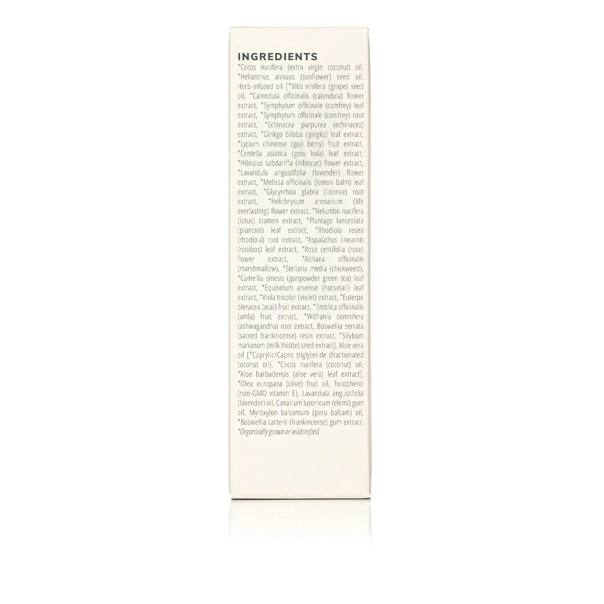 Herb-Infused Coconut Lavender Body Oil - 3.4 Oz - Image 6