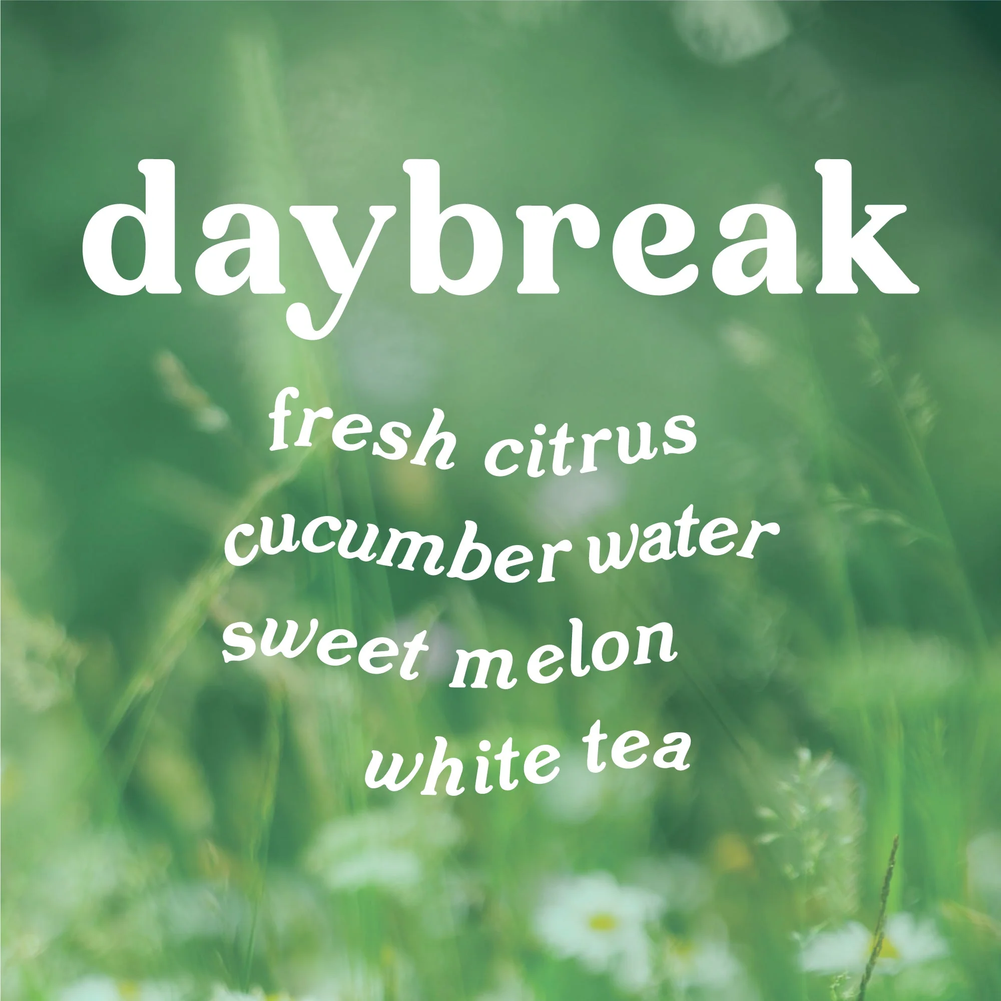 Daybreak 9 oz. Hue Soy Candle - Lemon & Cucumber - Image 4