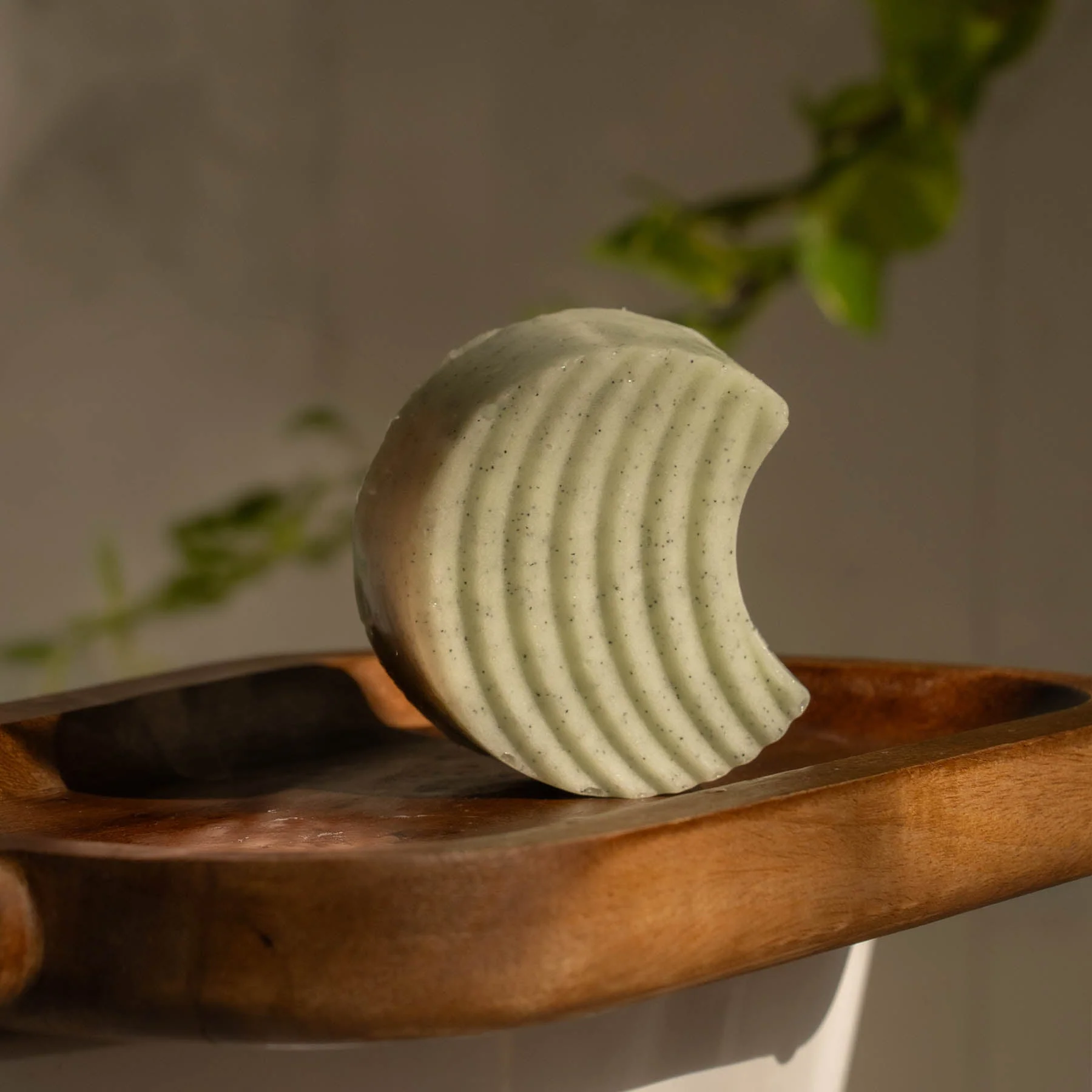 Detox Clarifying Exfoliating Body Scrub Bar - Image 4