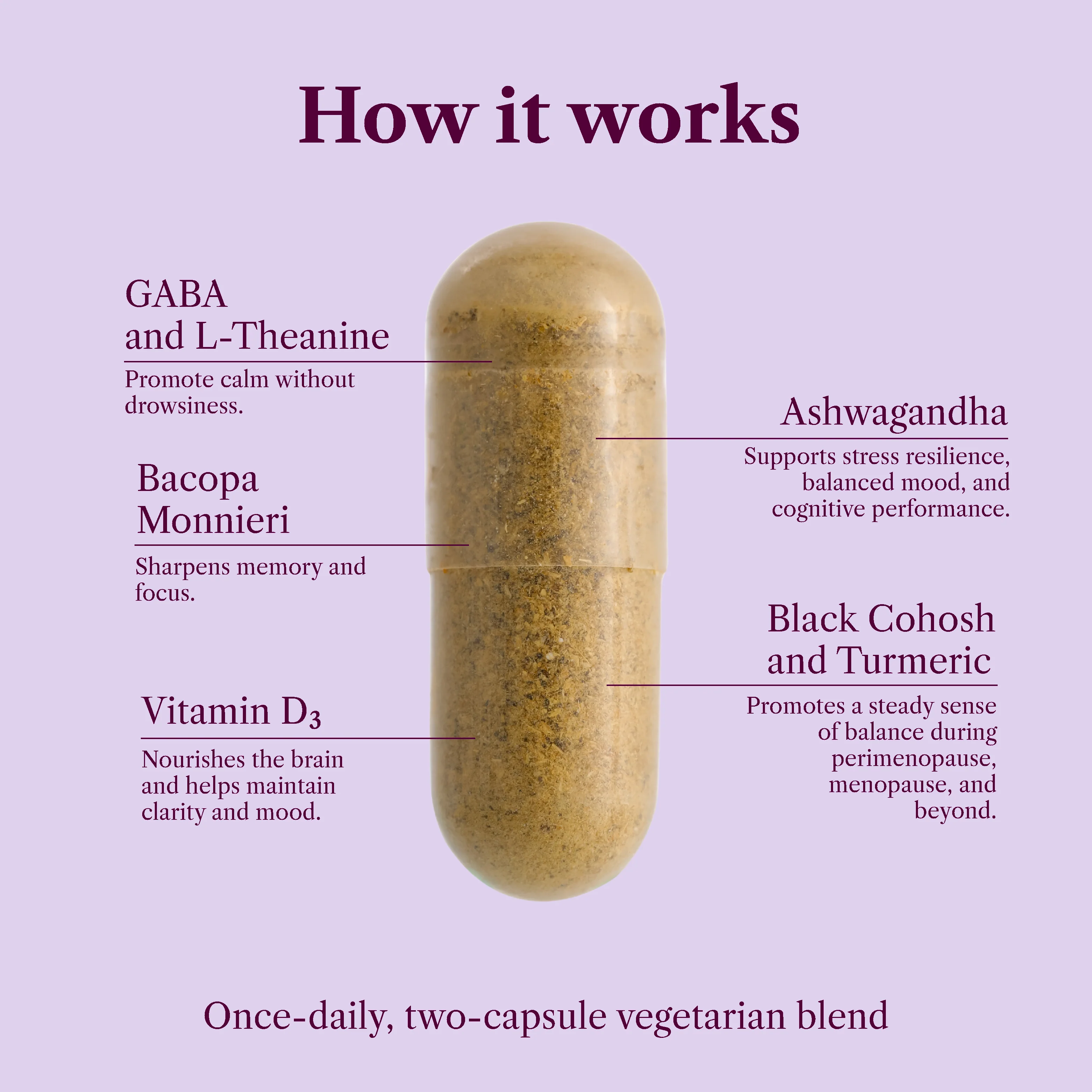 Menopause Mood & Neuro Support – Brain Fog & Memory - Image 4
