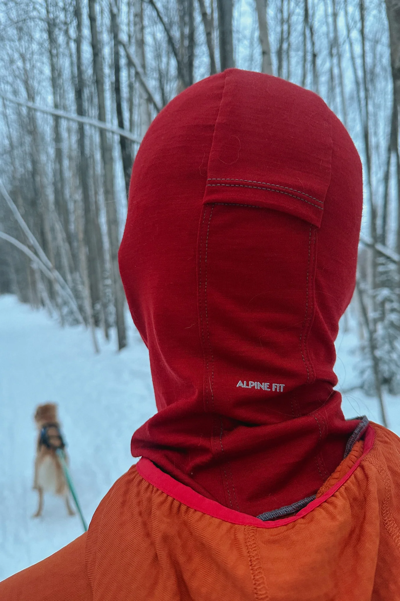 Merino Wool Performance Balaclava - Image 15