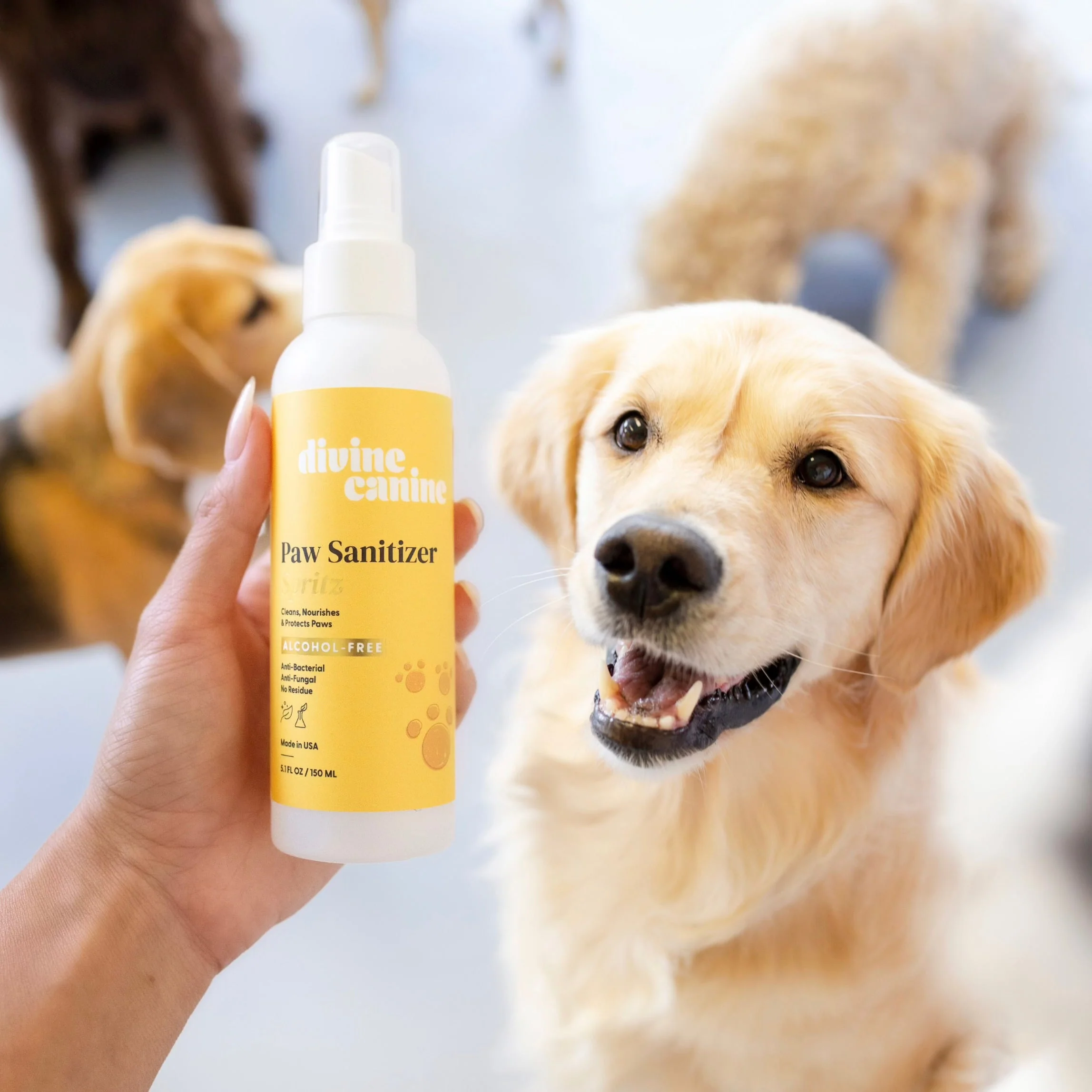 Paw Sanitizer Spritz - Image 4