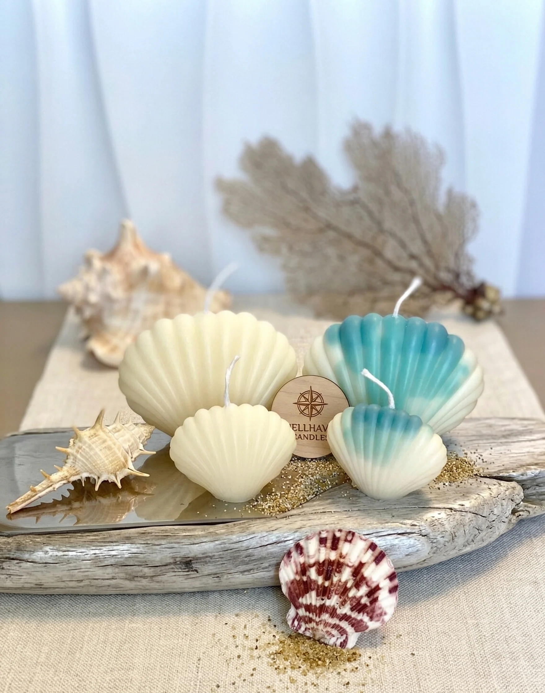 Coastal Soy Wax Shell Sculpture Candle - 2 Sizes - Image 5