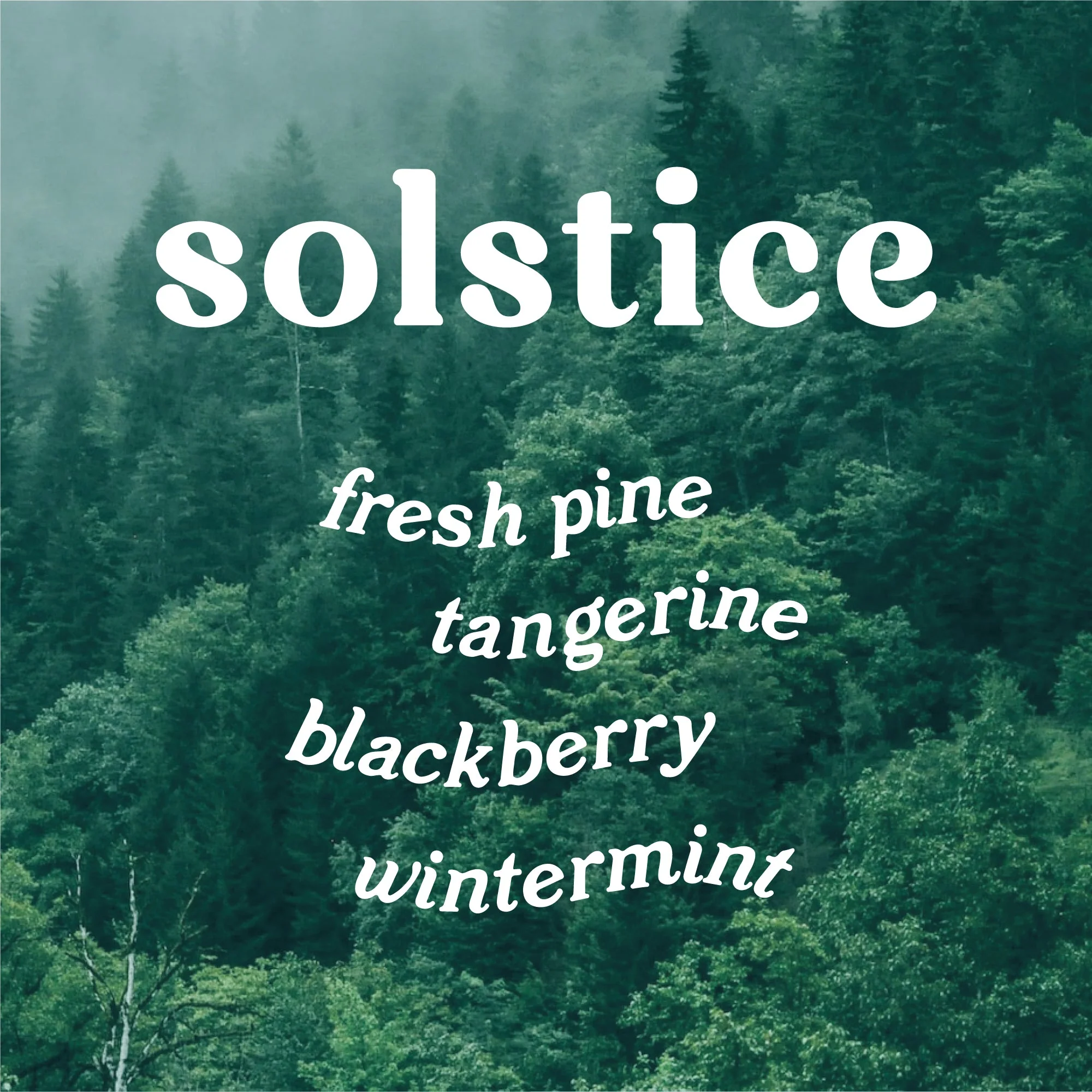 Reed Diffuser Solstice 4 oz. - Nordic Pine - Image 3