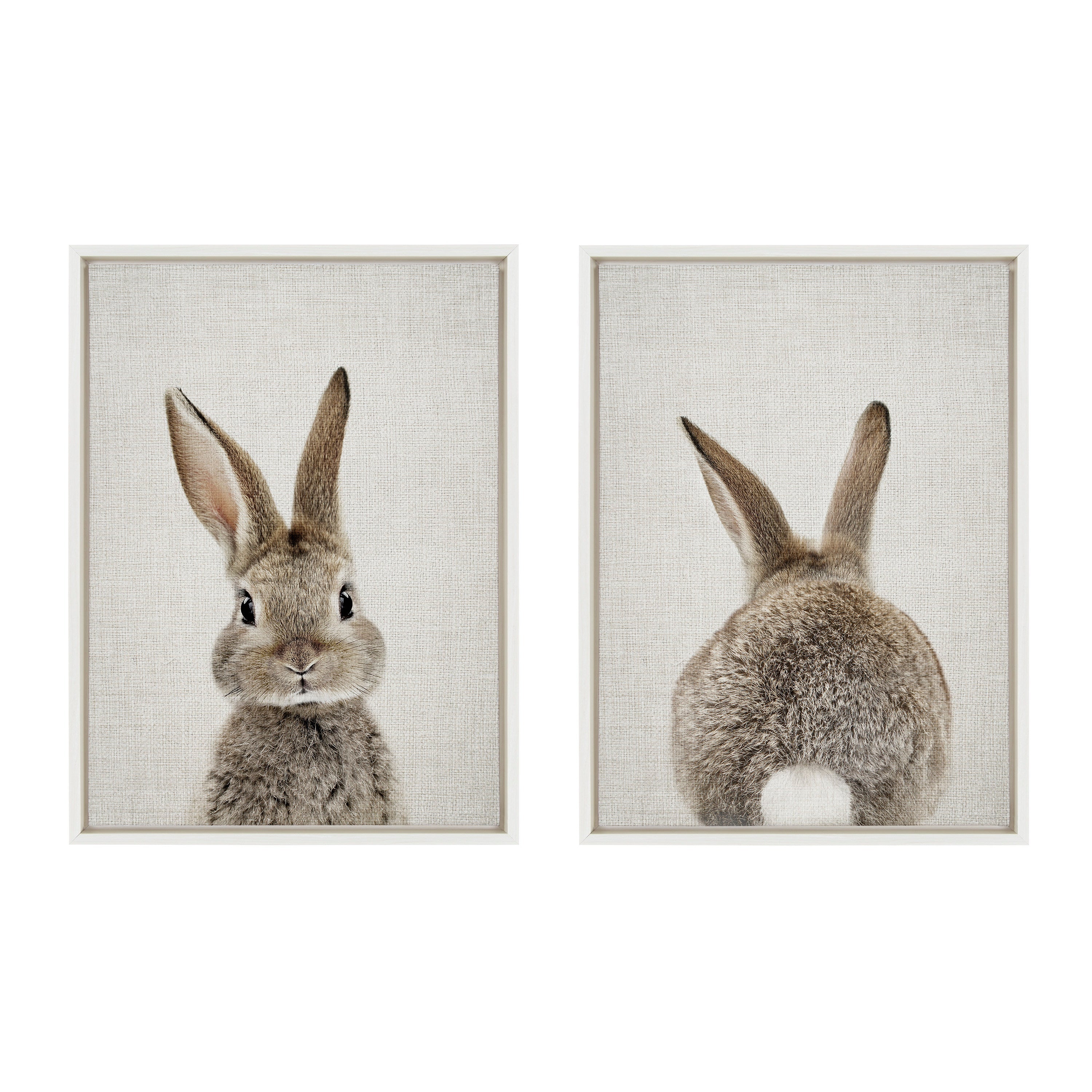 Sylvie Bunny Portrait and Bunny Tail Framed Canvas Art Set by Amy Peterson Art Studio - Image 36