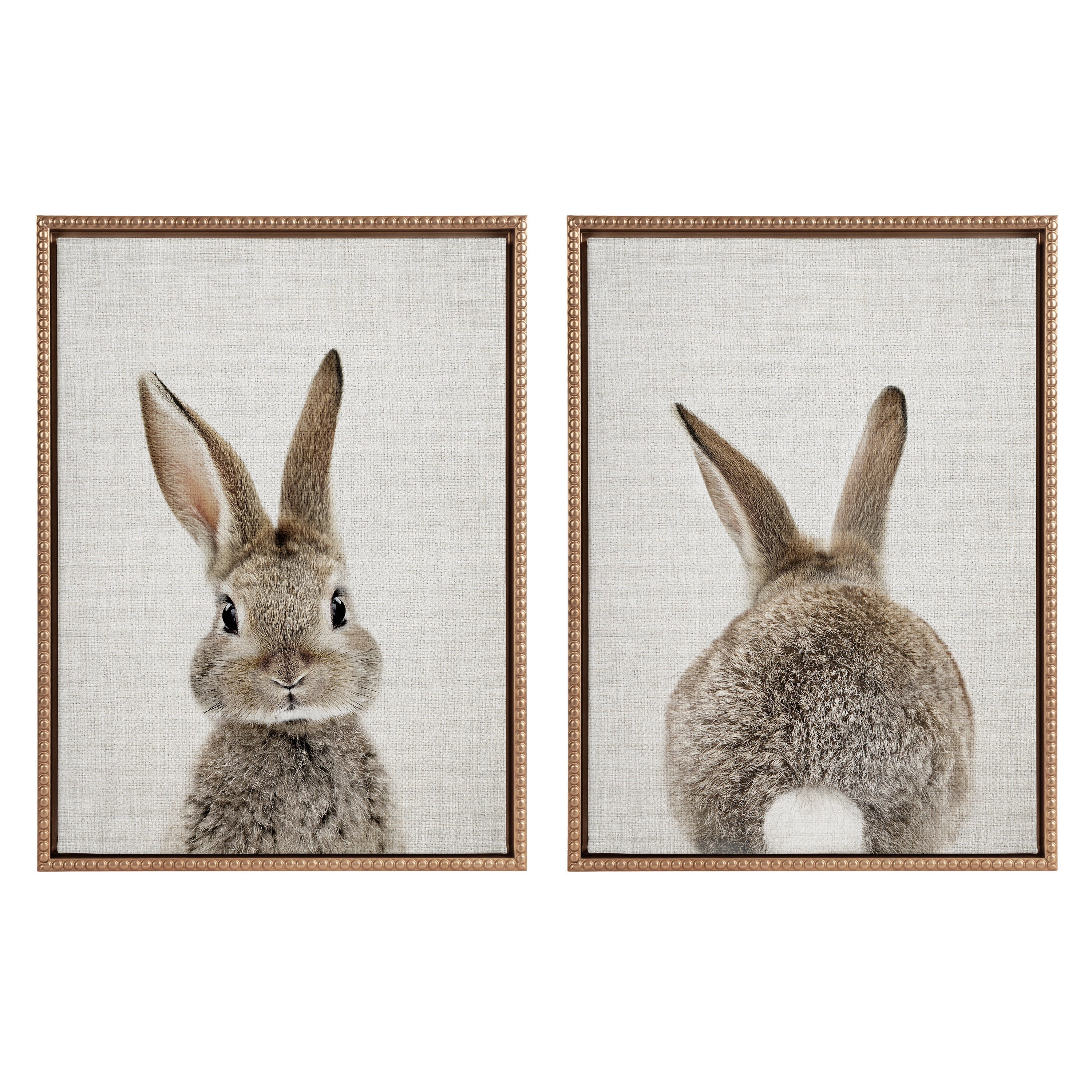Sylvie Bunny Portrait and Bunny Tail Framed Canvas Art Set by Amy Peterson Art Studio - Image 4