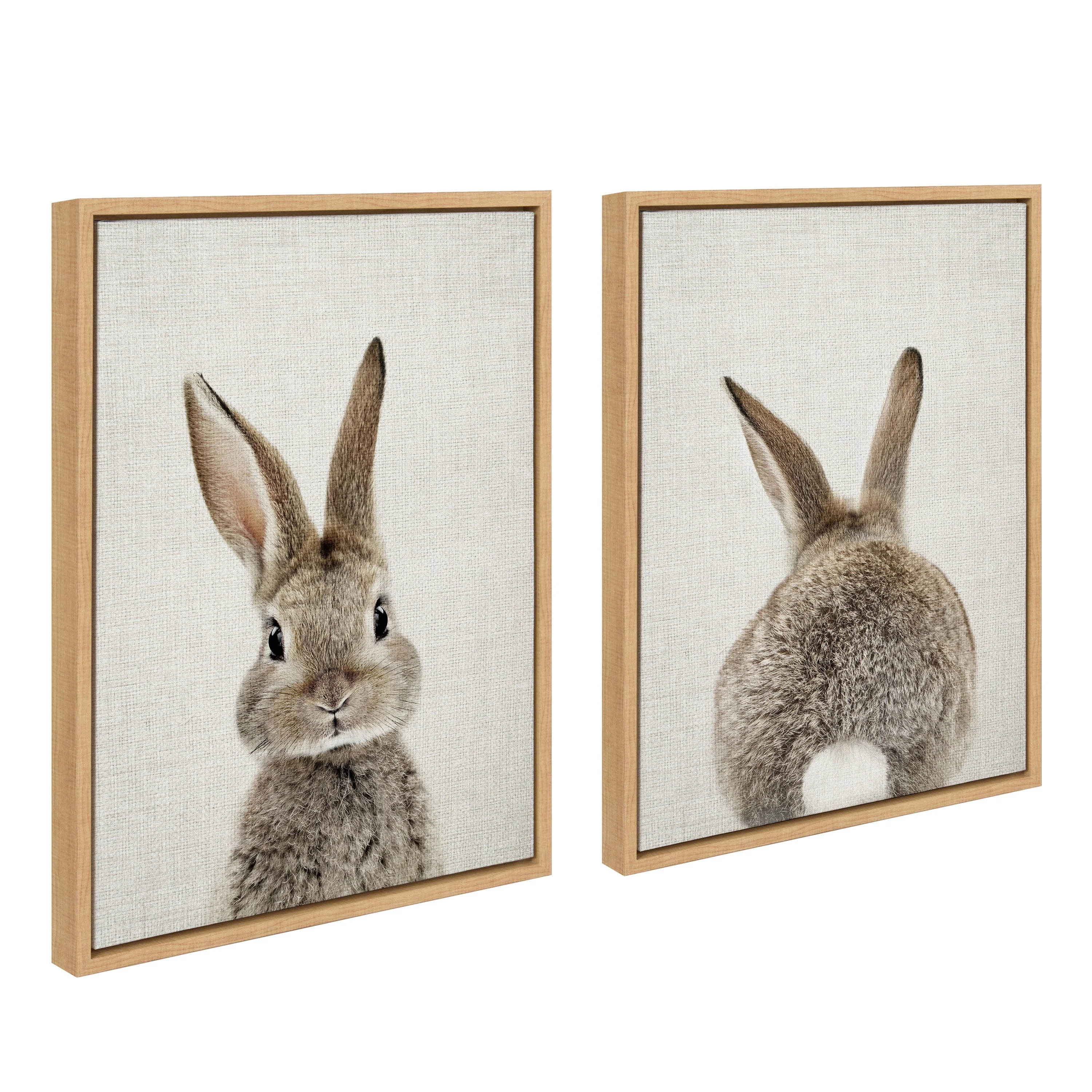 Sylvie Bunny Portrait and Bunny Tail Framed Canvas Art Set by Amy Peterson Art Studio - Image 40