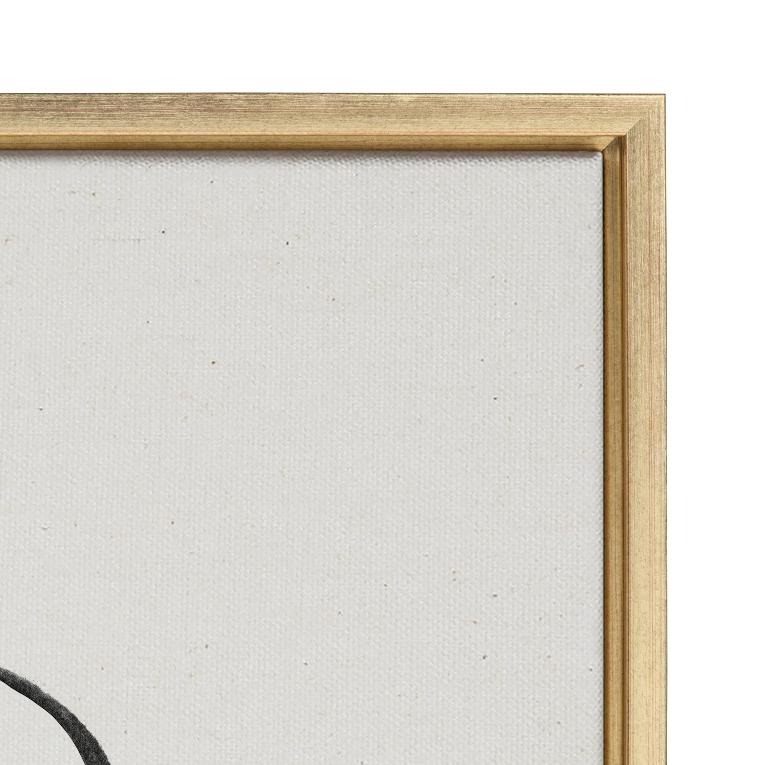 Sylvie Going in Circles Framed Textured Canvas Set by Teju Reval of SnazzyHues - Image 36