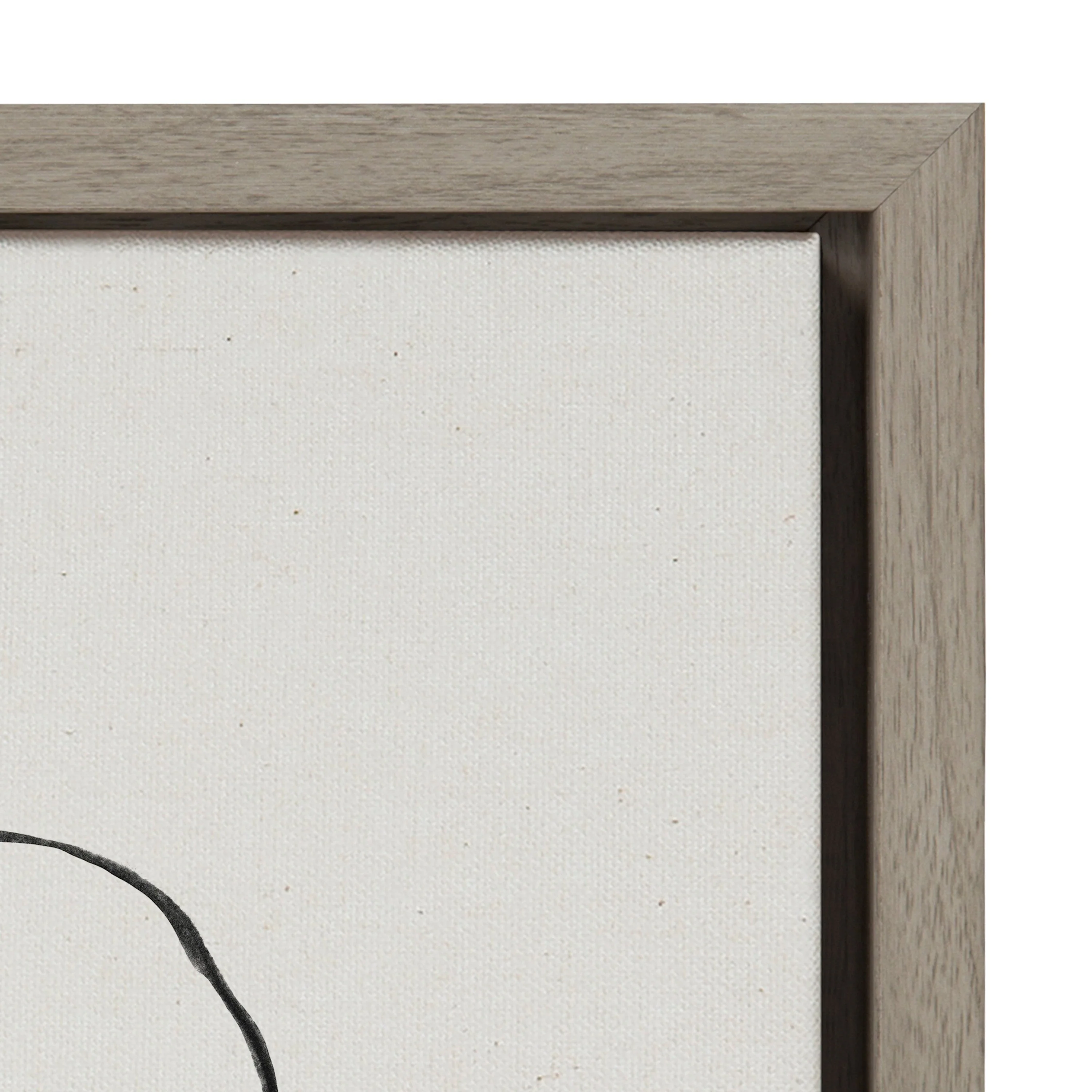 Sylvie Going in Circles Framed Textured Canvas Set by Teju Reval of SnazzyHues - Image 44