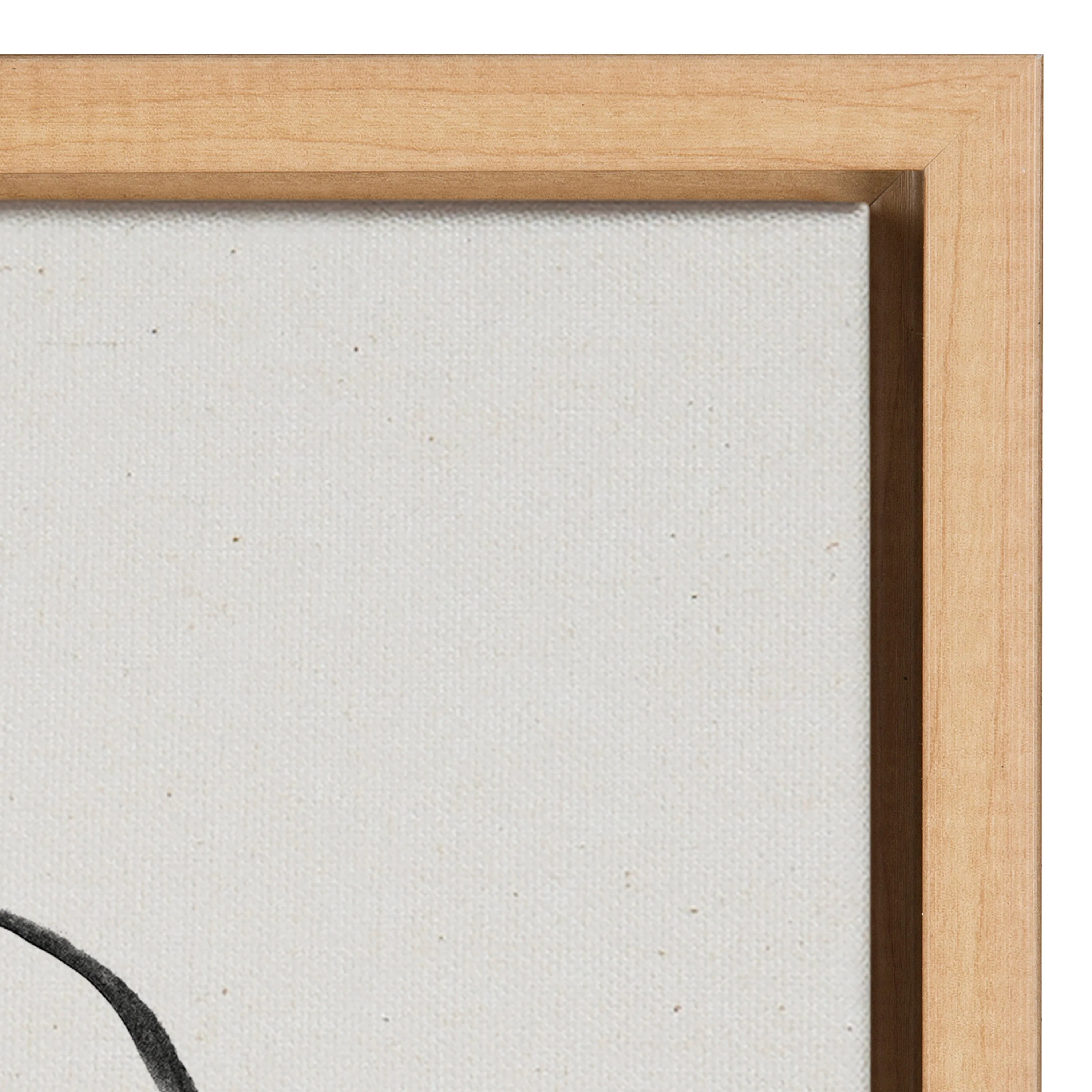 Sylvie Going in Circles Framed Textured Canvas Set by Teju Reval of SnazzyHues - Image 73