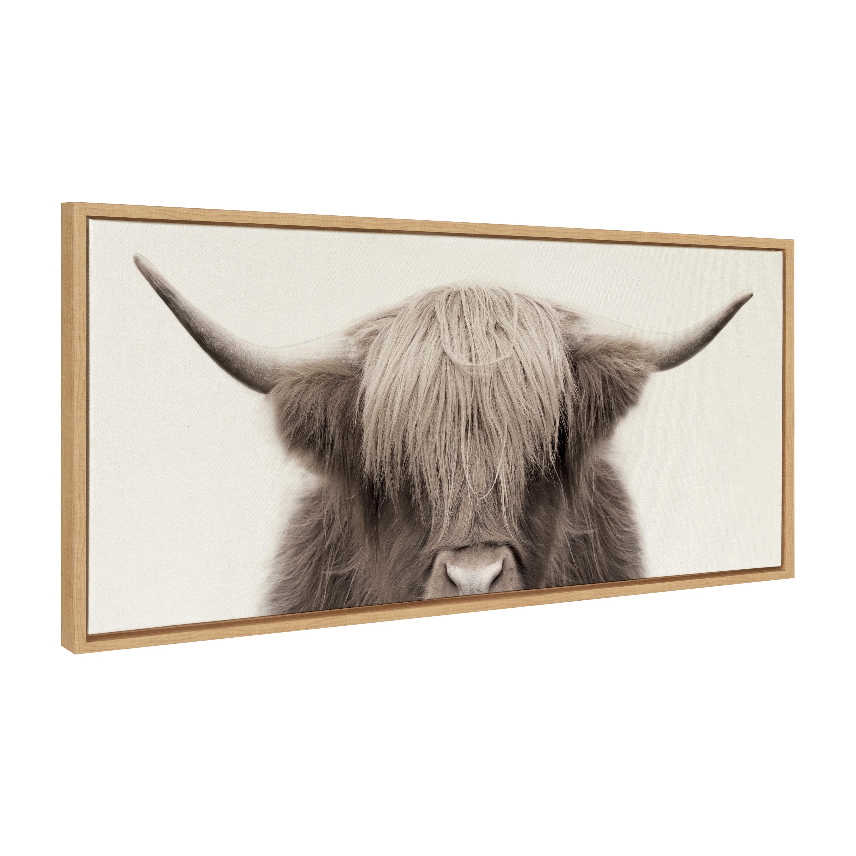 Sylvie Hey Dude Highland Cow Color Framed Canvas by The Creative Bunch Studio - Image 33