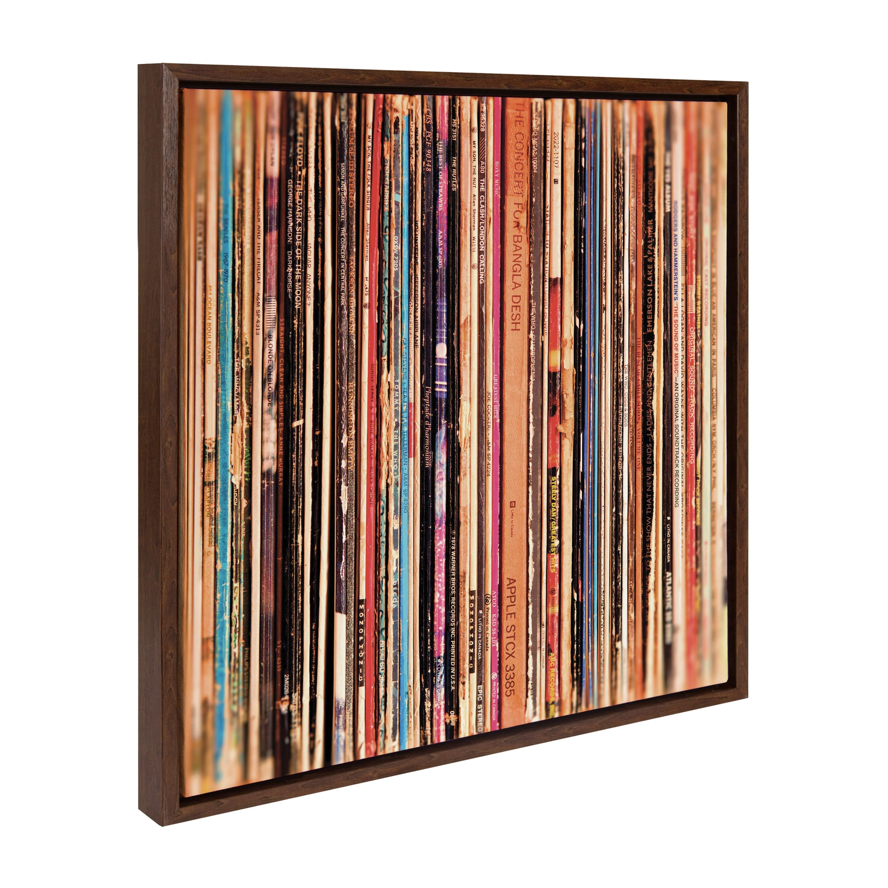 Sylvie Records Framed Canvas by Robert Cadloff of Bomobob - Image 28