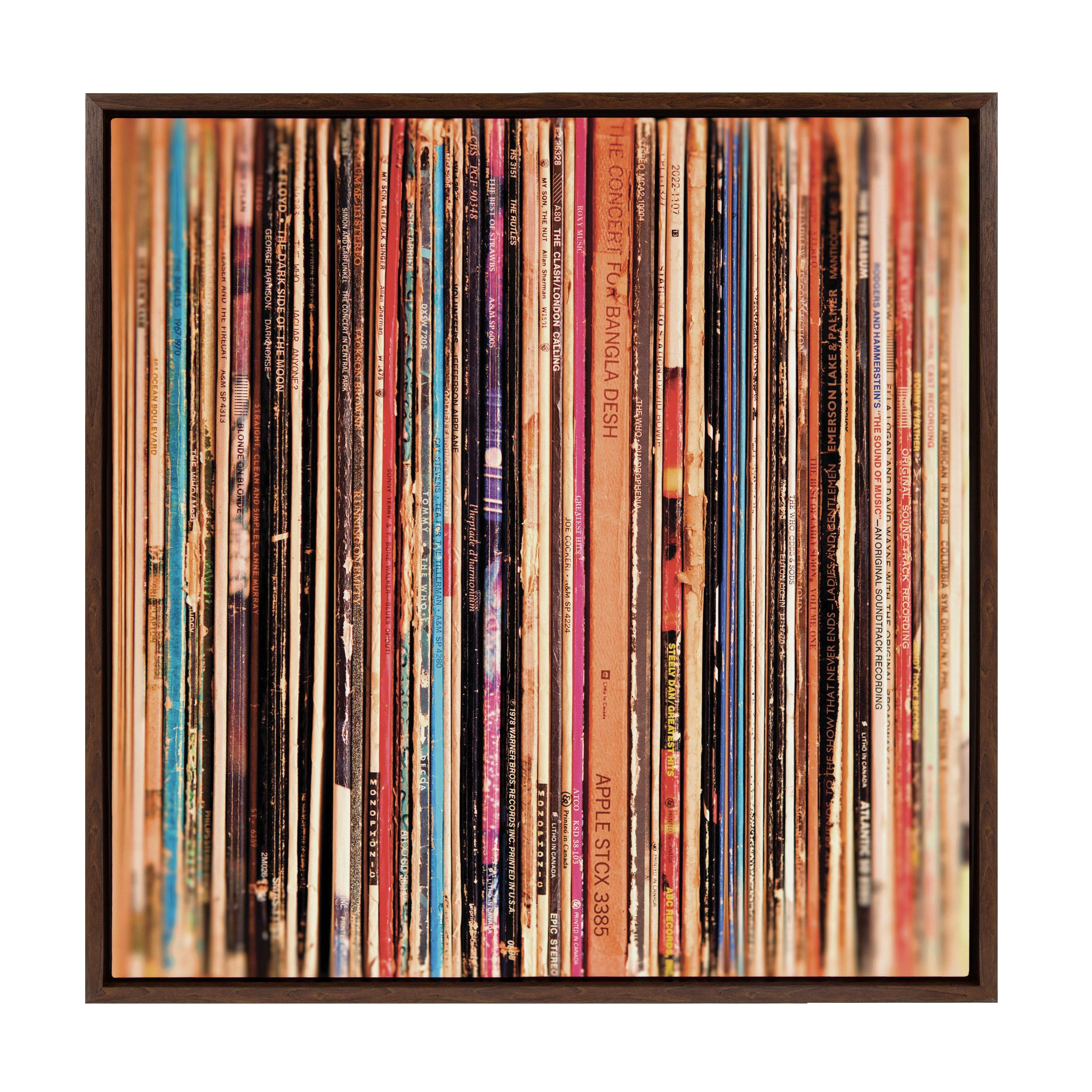 Sylvie Records Framed Canvas by Robert Cadloff of Bomobob - Image 38