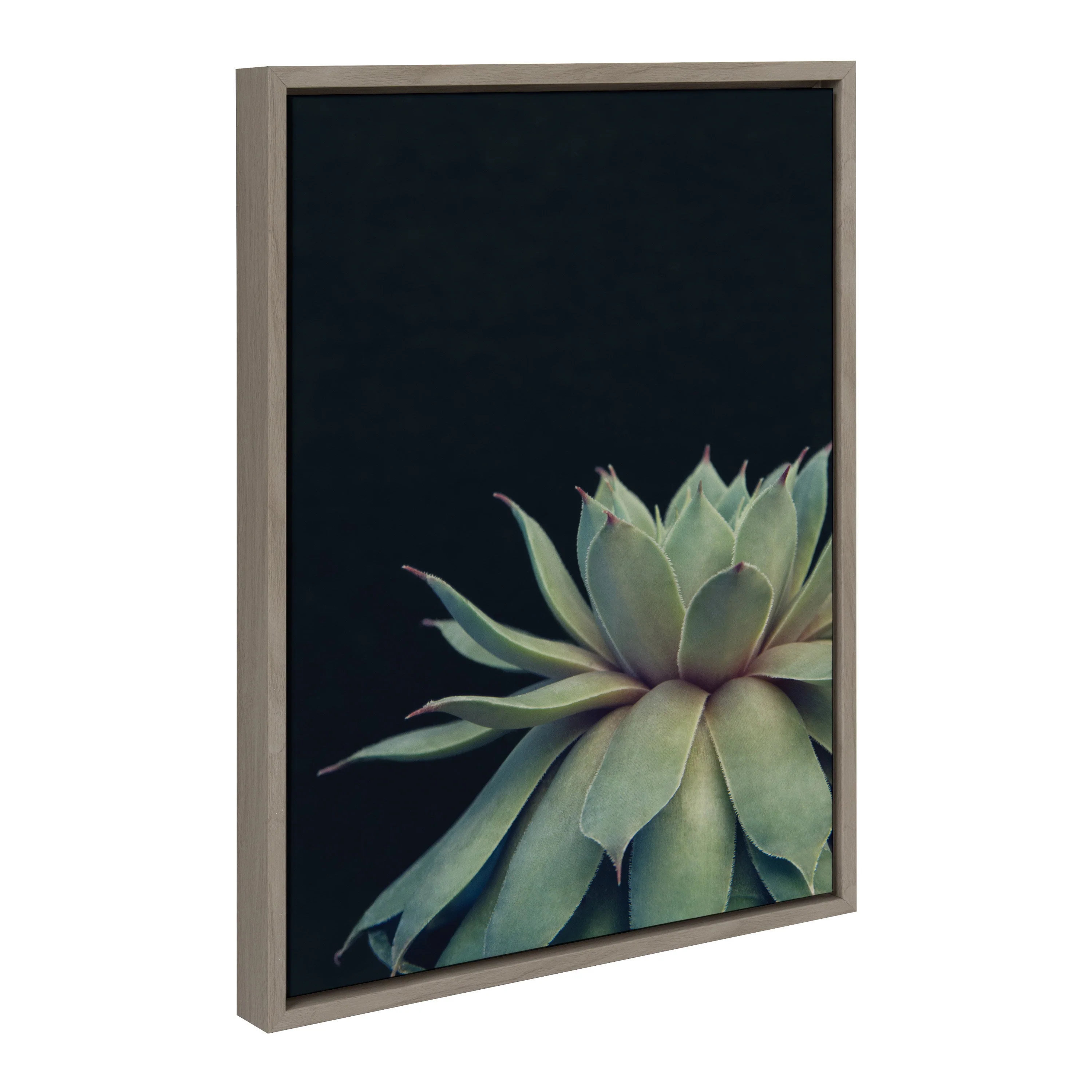 Sylvie Succulent Framed Canvas by F2 Images - Image 11