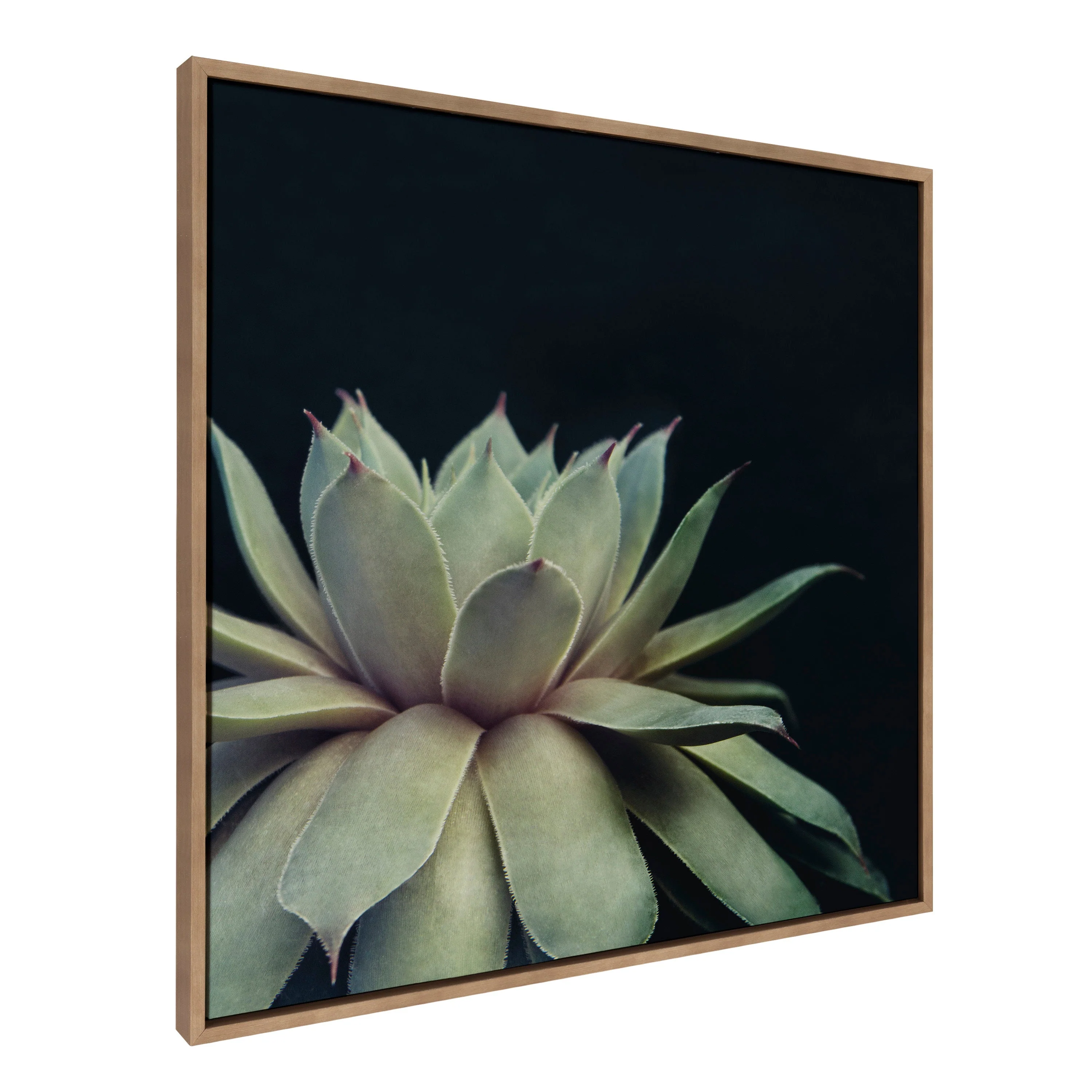 Sylvie Succulent Framed Canvas by F2 Images - Image 14